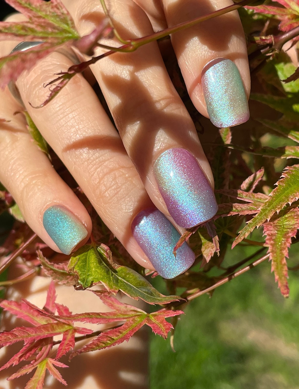 A Piece Of Prisma 16er-Blush&Cherry - Blush and Cherry - Nagelfolien ohne UV