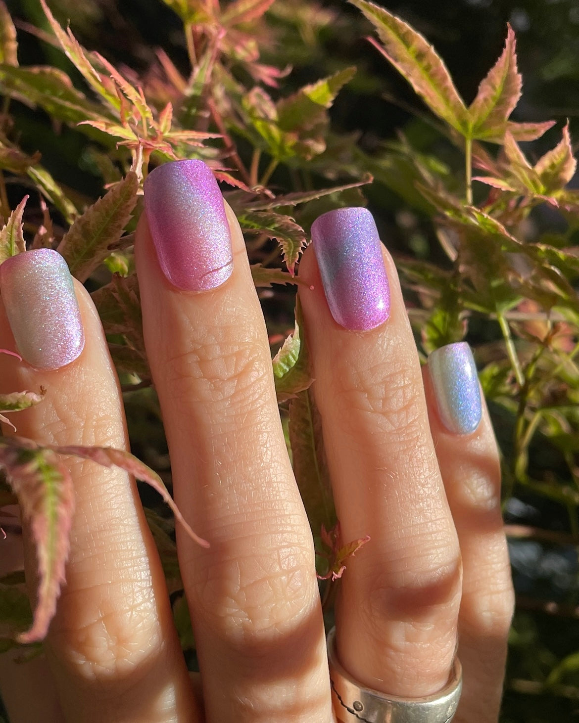 A Piece Of Prisma 16er-Blush&Cherry - Blush and Cherry - Nagelfolien ohne UV