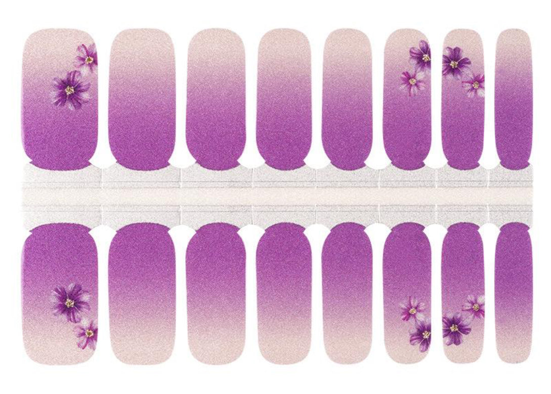 Amethyst Whisper 16er