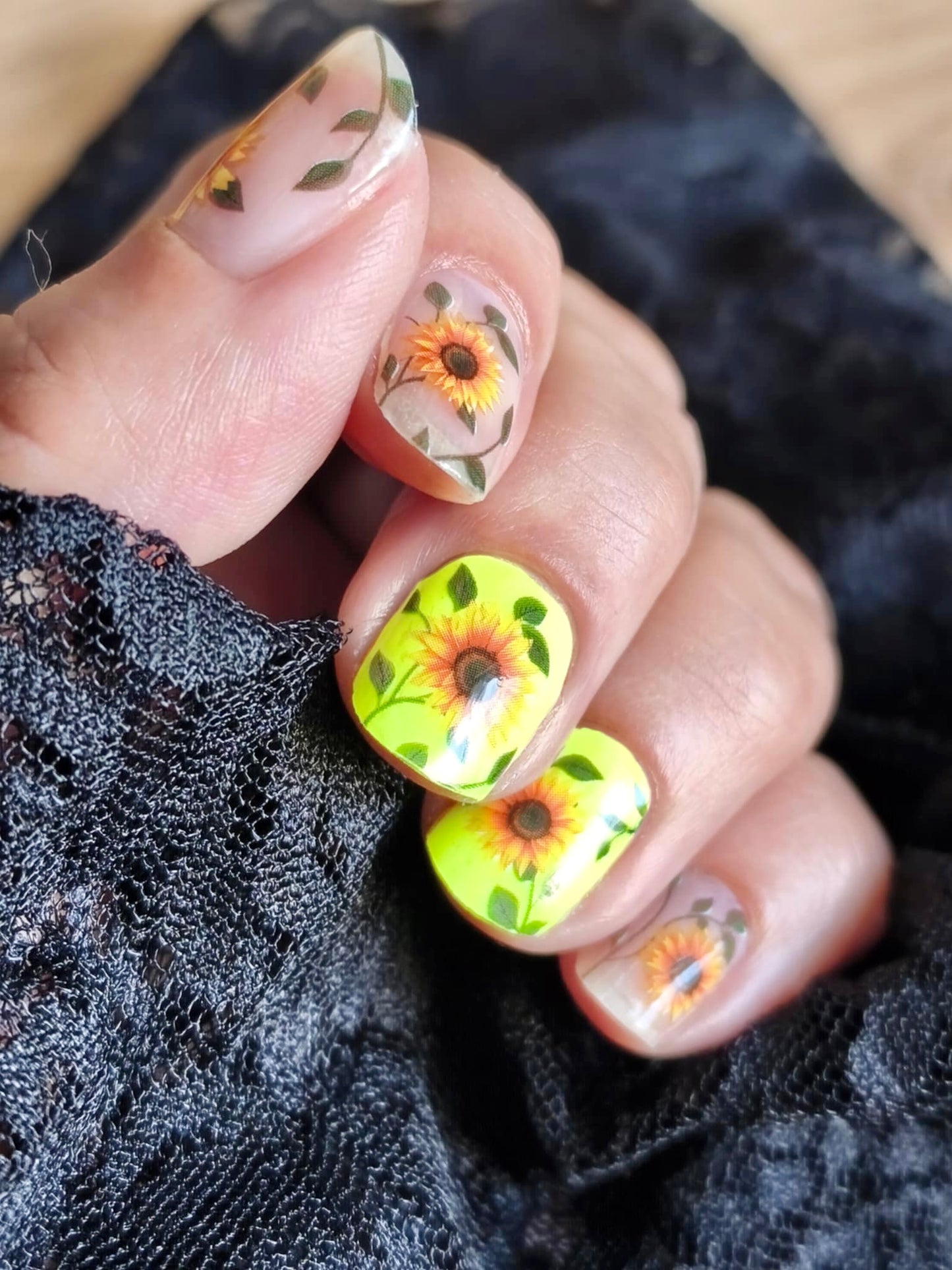 Sunflower Power 16er Overlay