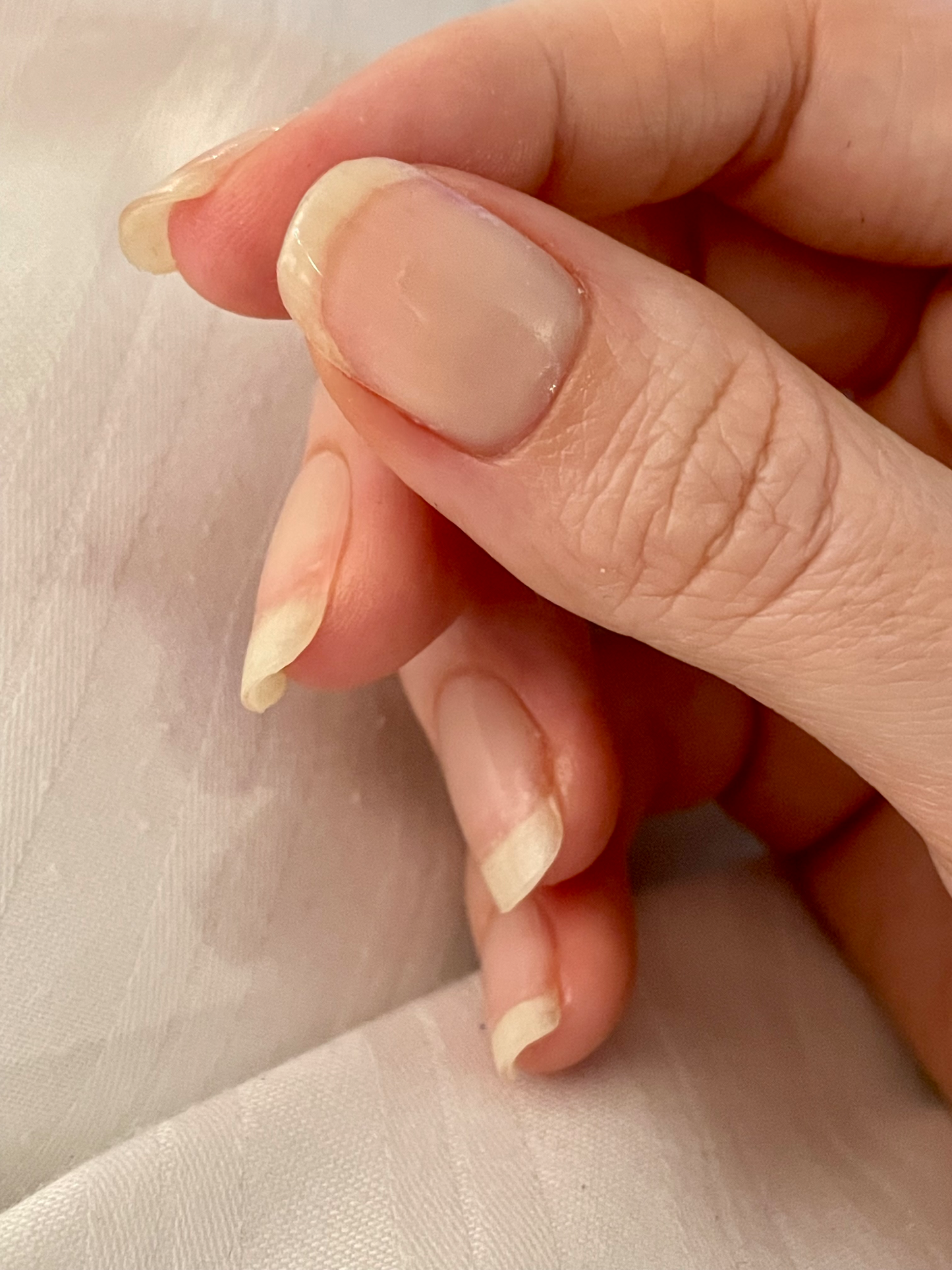 UV Clear 20er-Blush&Cherry-Blush and Cherry - UV Gel Folien