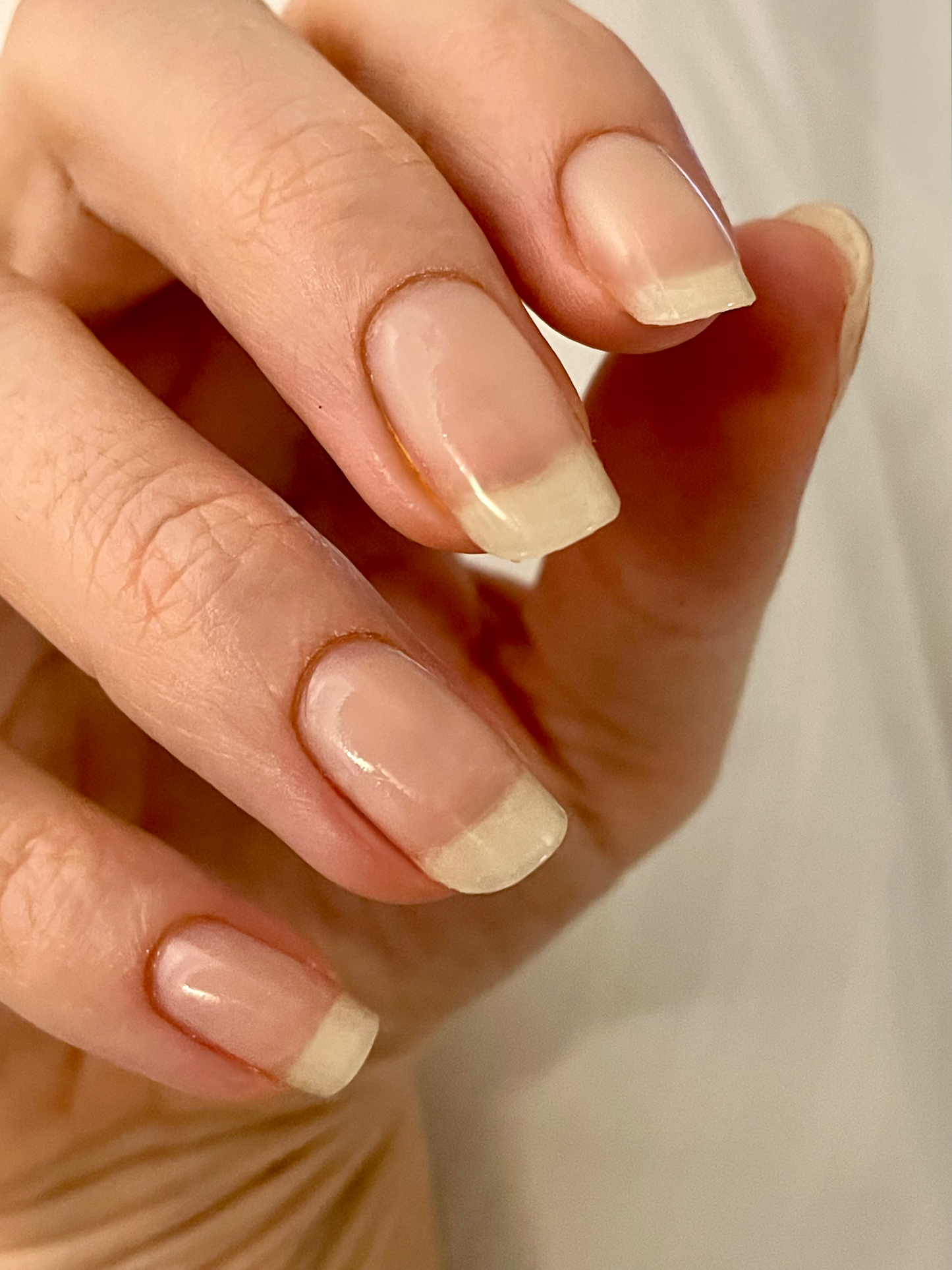 UV Clear 20er-Blush&Cherry-Blush and Cherry - UV Gel Folien