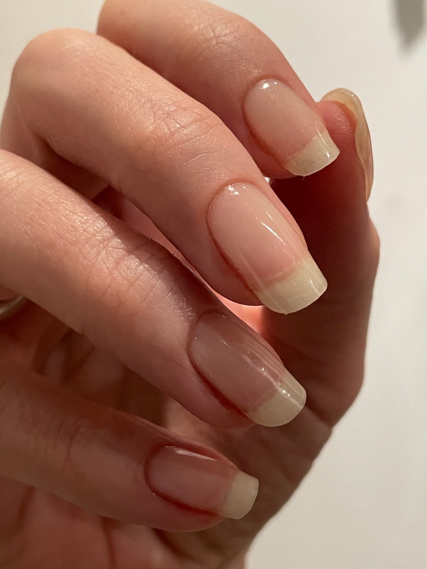 UV Clear 20er-Blush&Cherry-Blush and Cherry - UV Gel Folien
