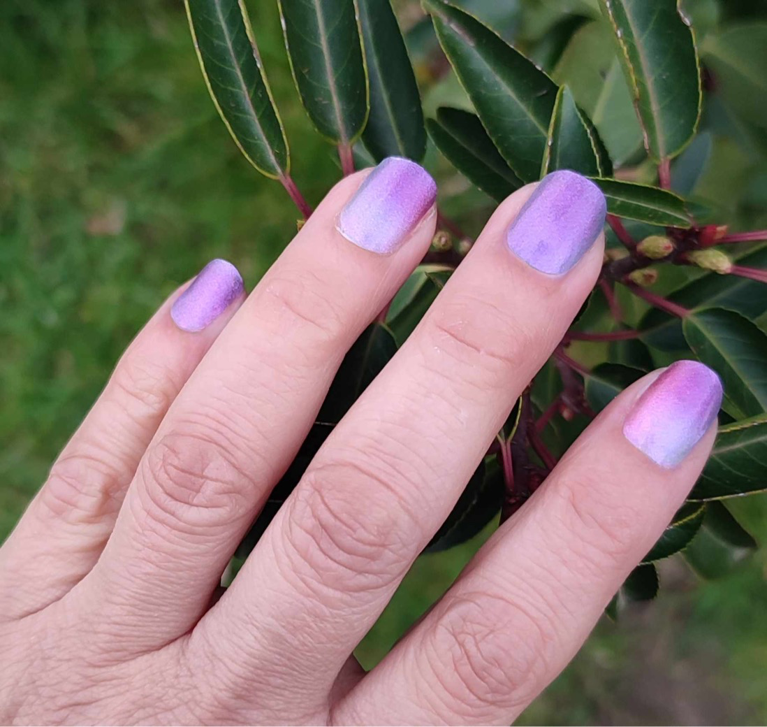 Sunset River 16er-Blush&Cherry - Blush and Cherry - Nagelfolien ohne UV
