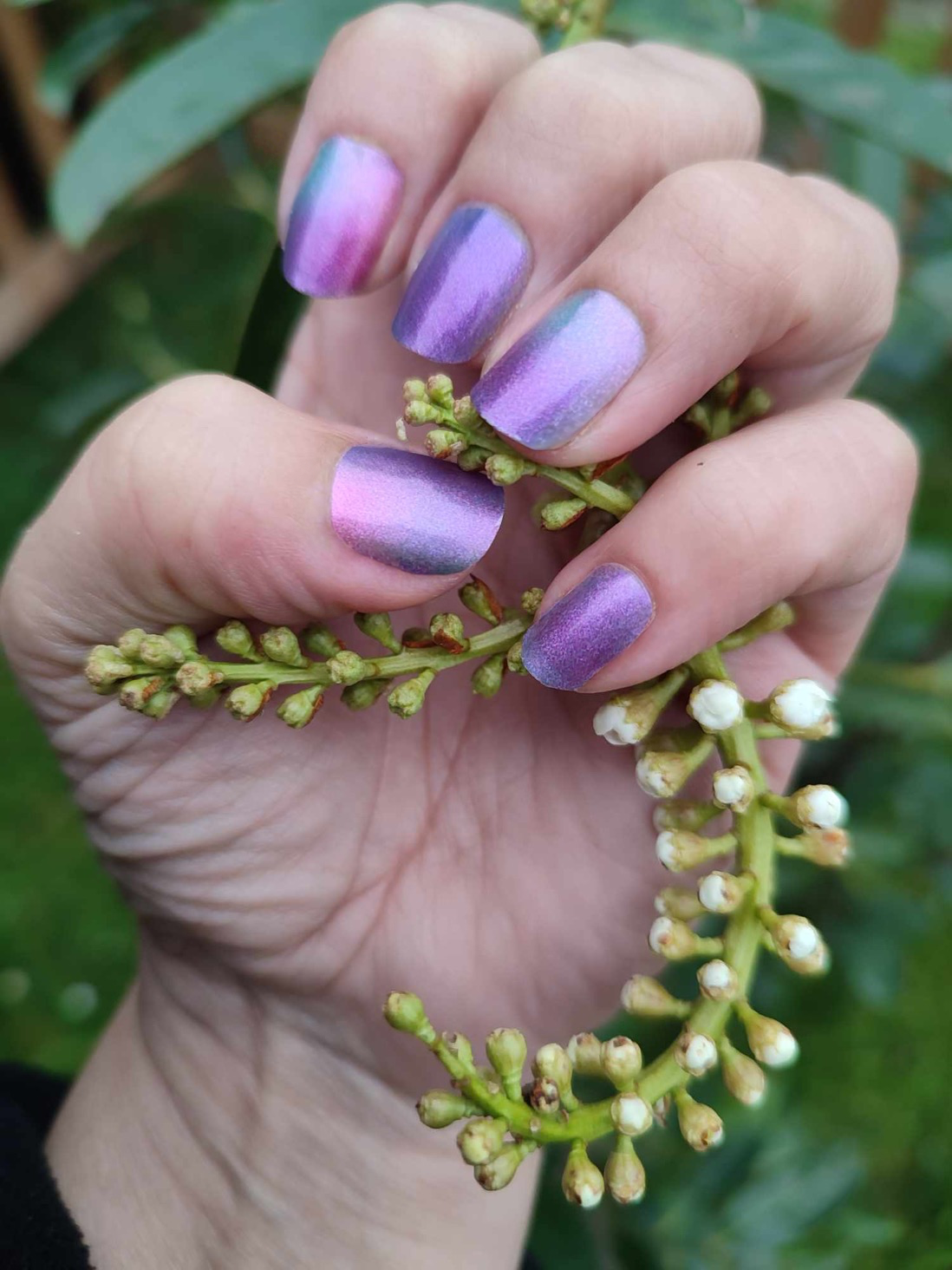 Sunset River 16er-Blush&Cherry - Blush and Cherry - Nagelfolien ohne UV