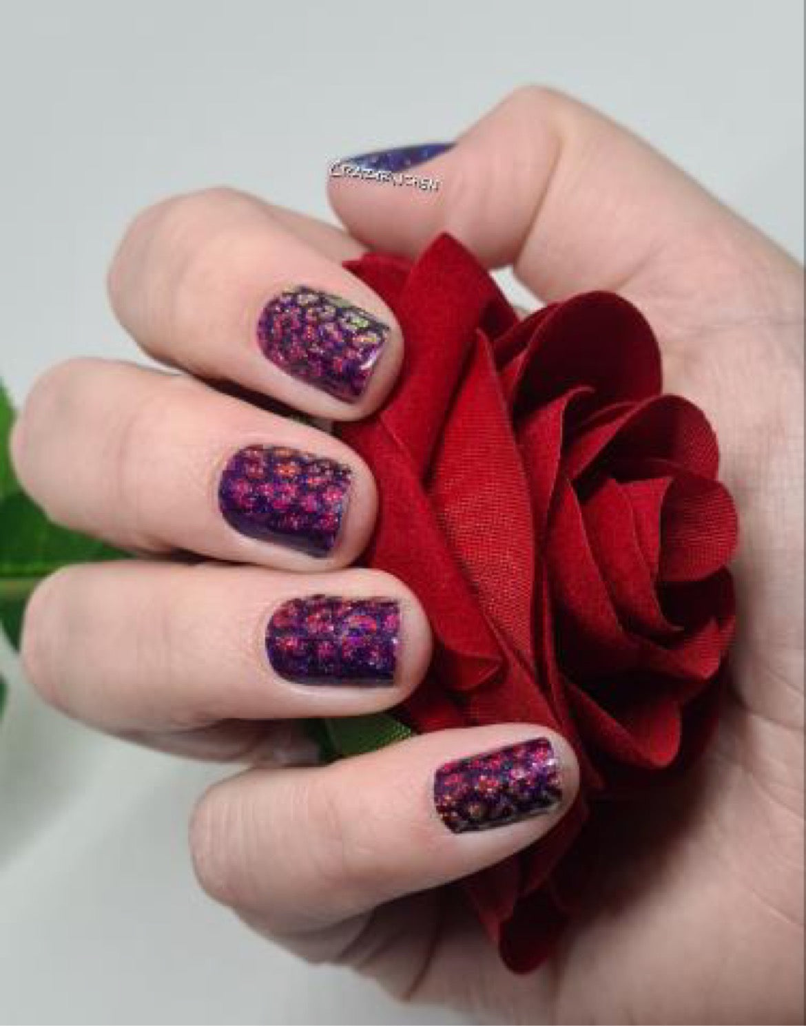 Leodil 16er-Blush&Cherry - Blush and Cherry - Nagelfolien ohne UV