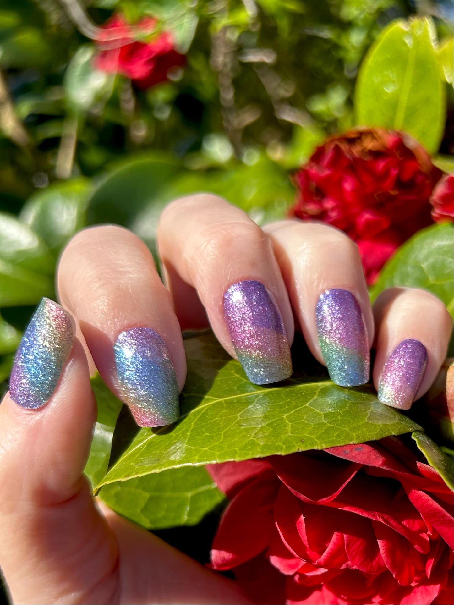 Prism Sparkle 16er