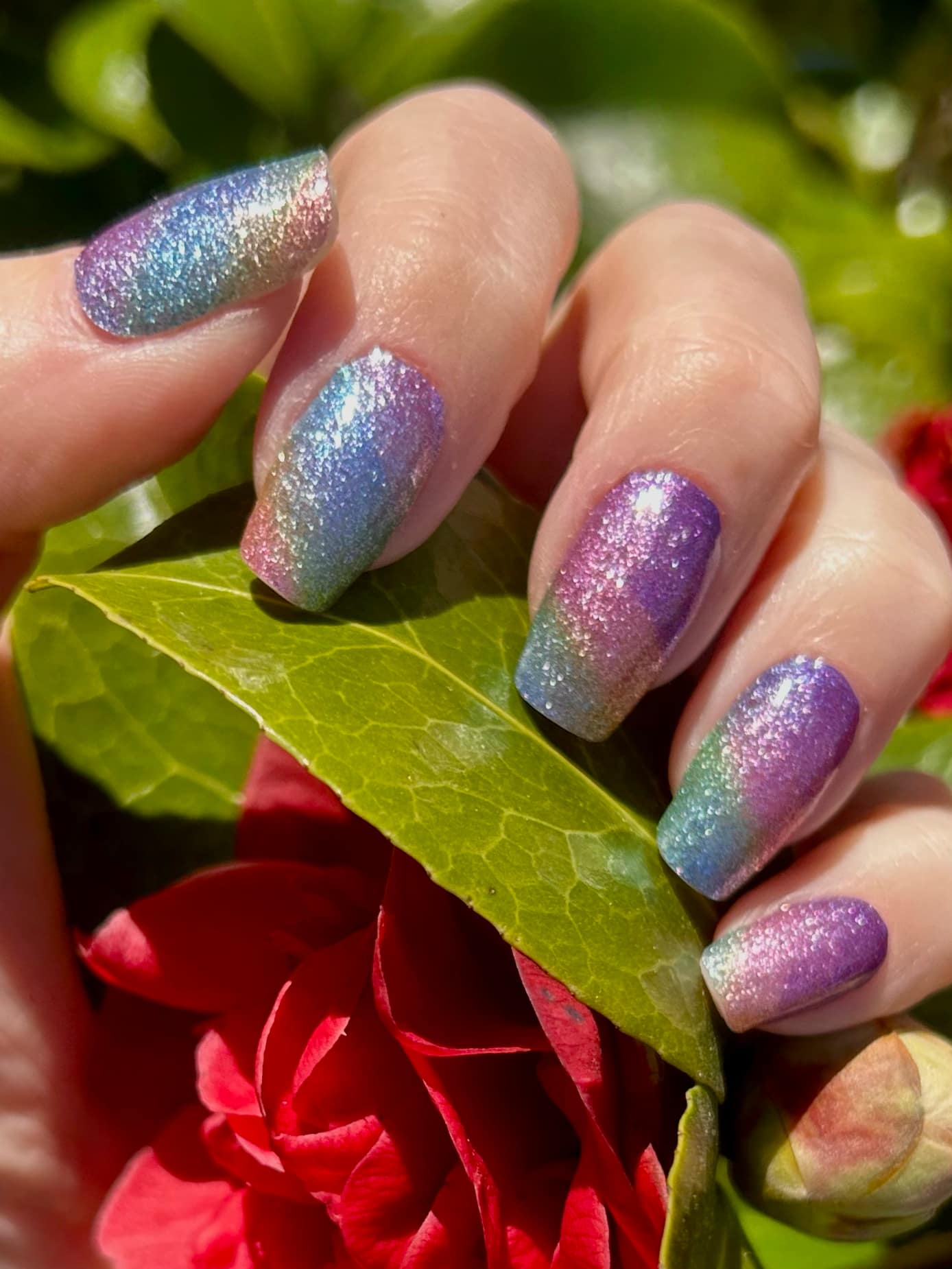 Prism Sparkle 16er