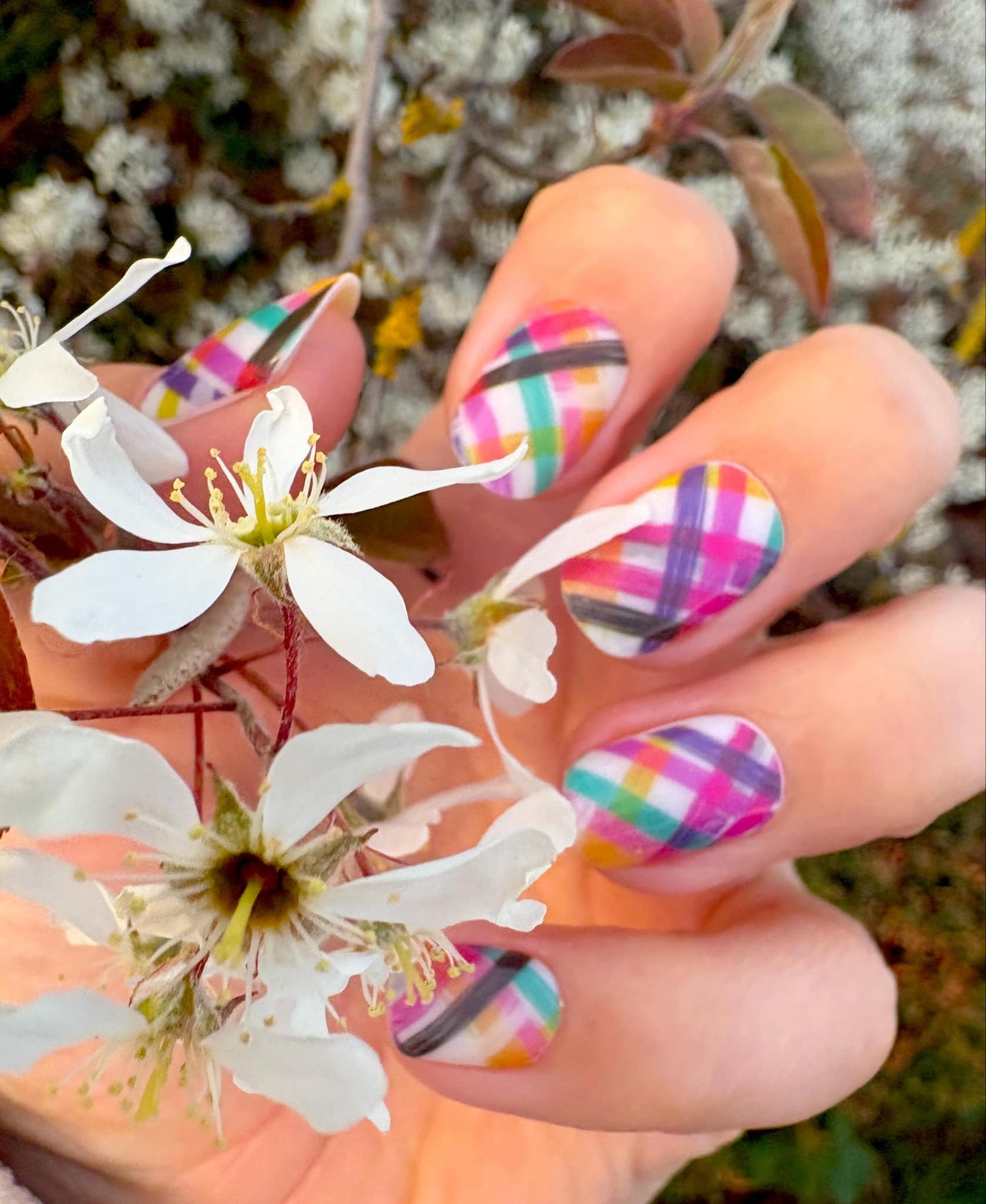 Plaid Parade 16er Overlay