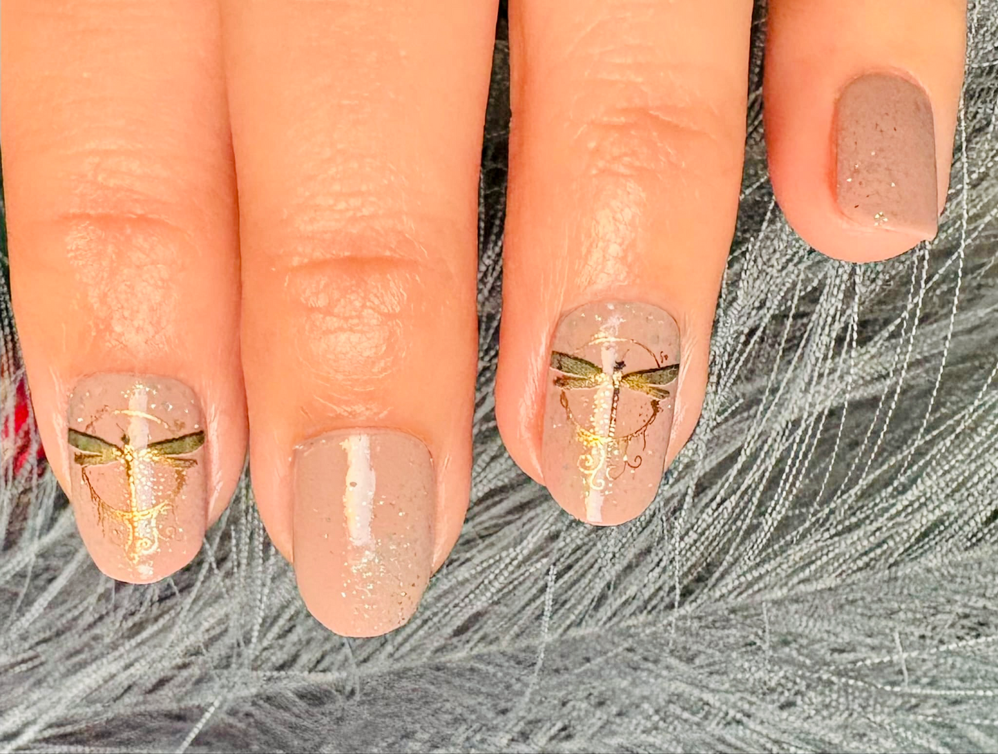 Jilly’s Dragonfly 16er Overlay