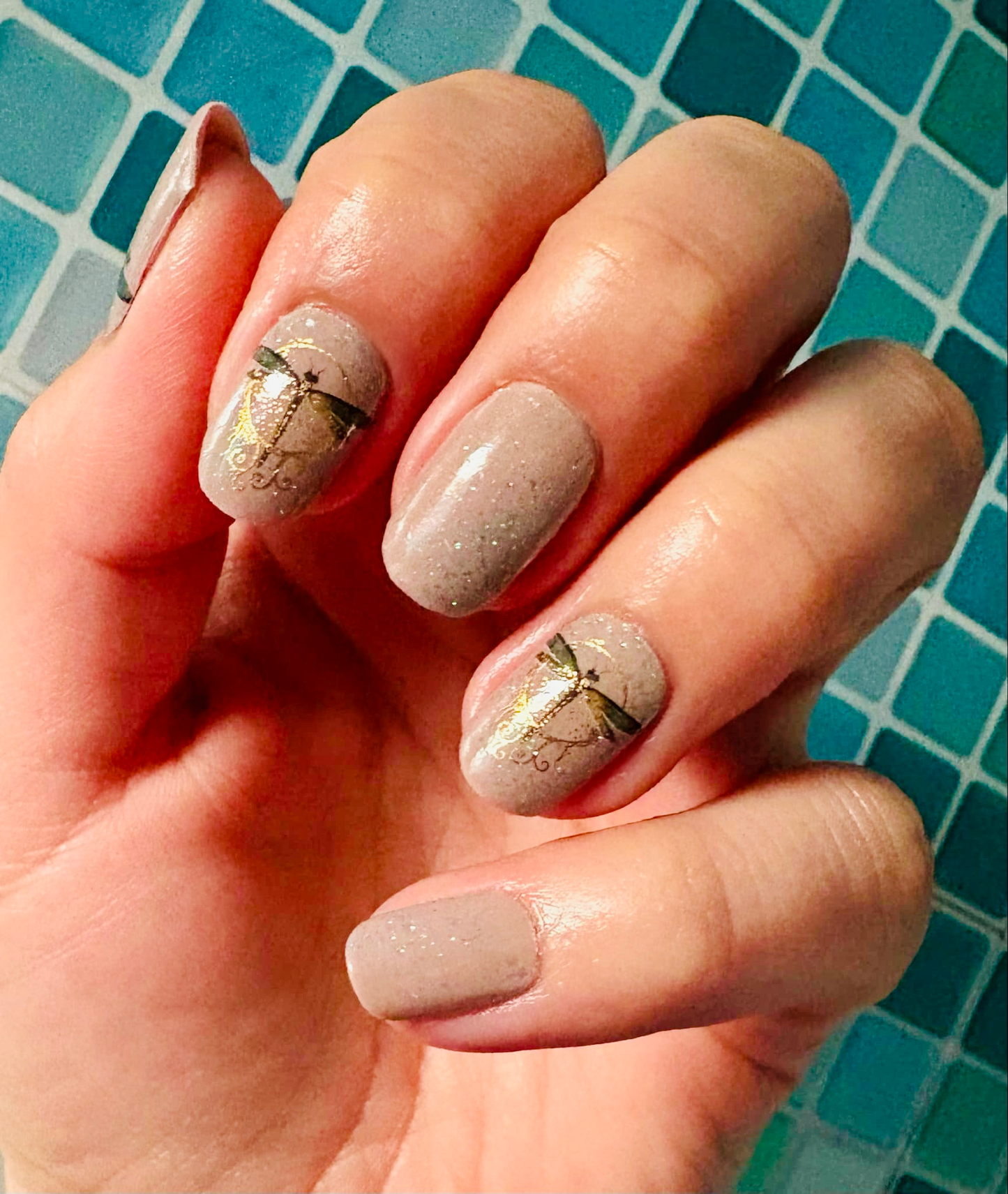 Jilly’s Dragonfly 16er Overlay