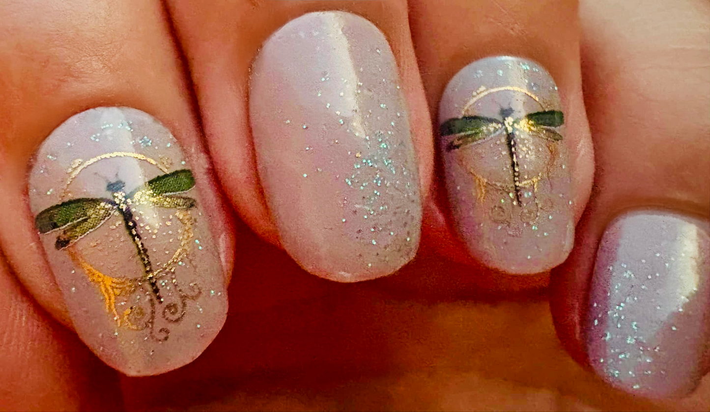 Jilly’s Dragonfly 16er Overlay