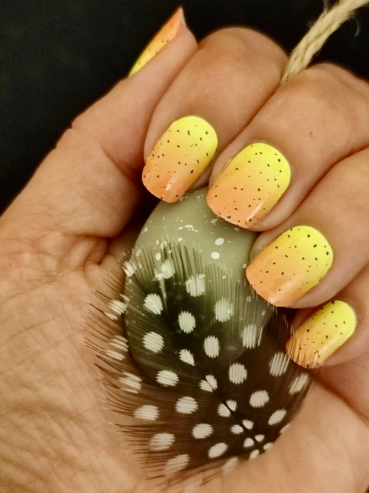 Dragon Eggs 16er