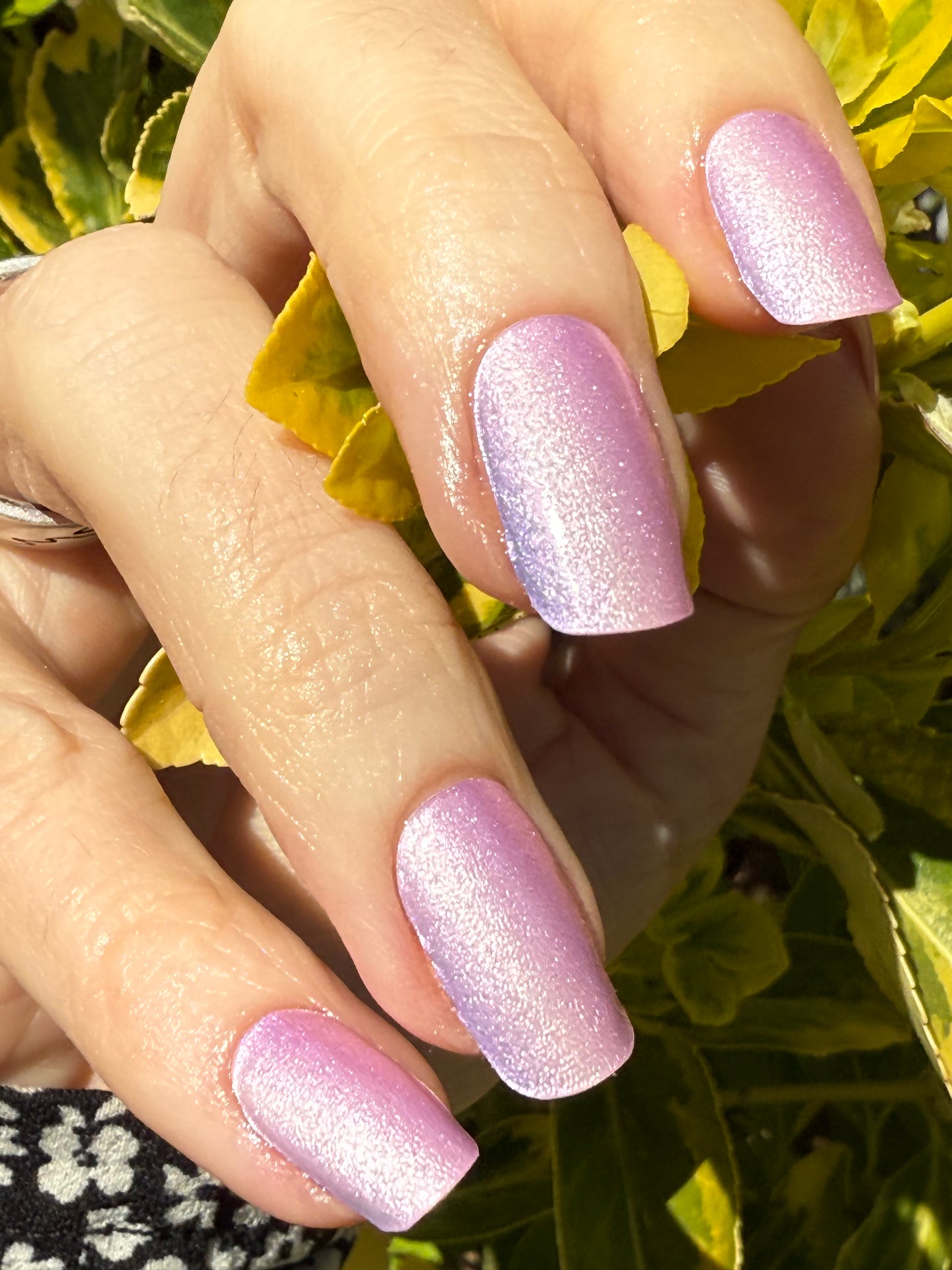 UV Light Streaks 16er