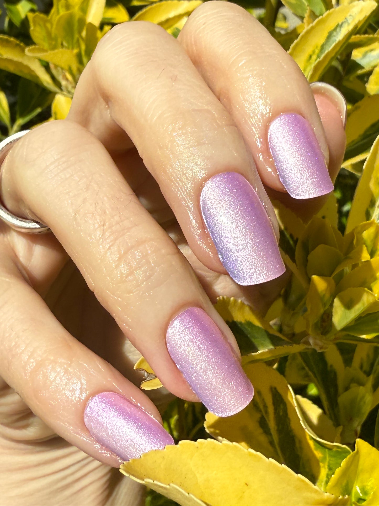 UV Light Streaks 16er