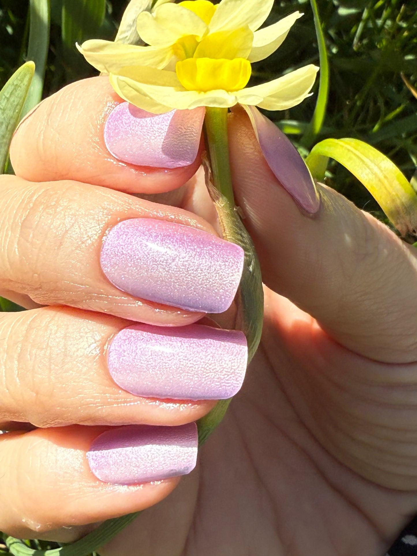 UV Light Streaks 16er