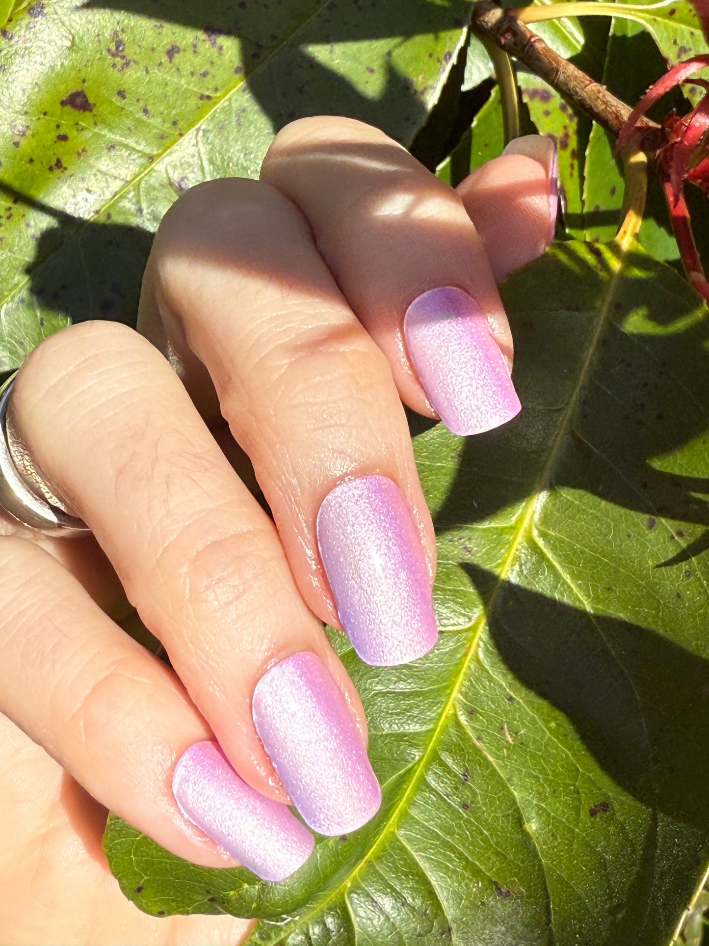 UV Light Streaks 16er