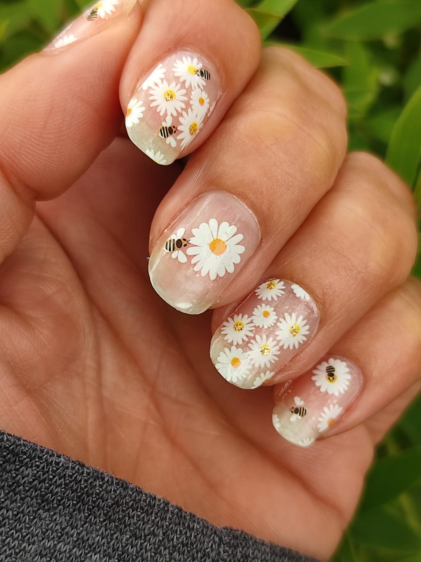 Bee Bloomy 16er Overlay