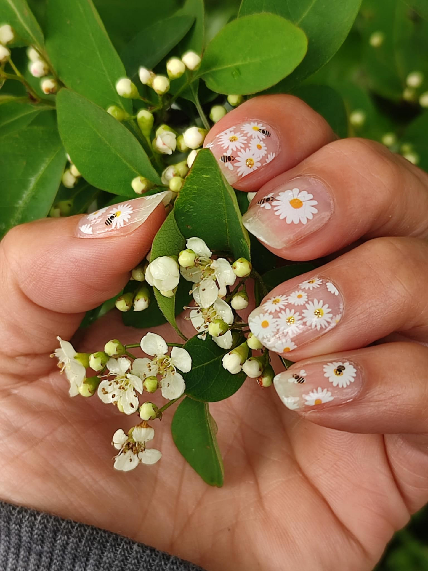 Bee Bloomy 16er Overlay