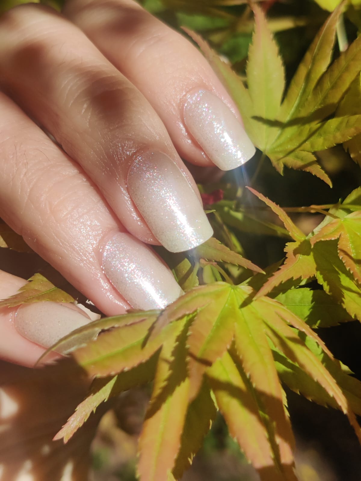 UV Bling Thing 20er-Blush&Cherry-Blush and Cherry - UV Gel Folien