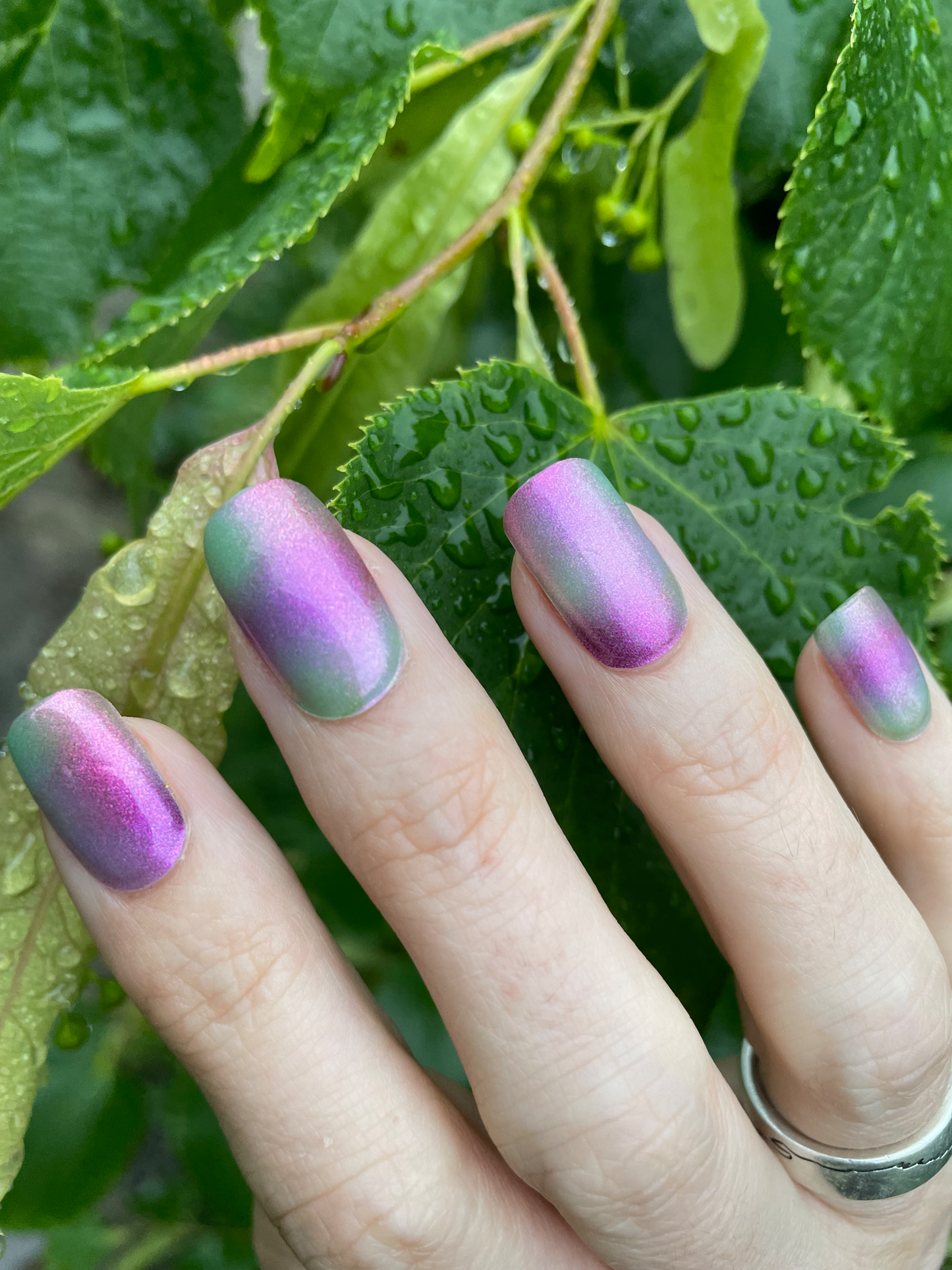 Blurry Meadow 16er-Blush&Cherry - Blush and Cherry - Nagelfolien ohne UV