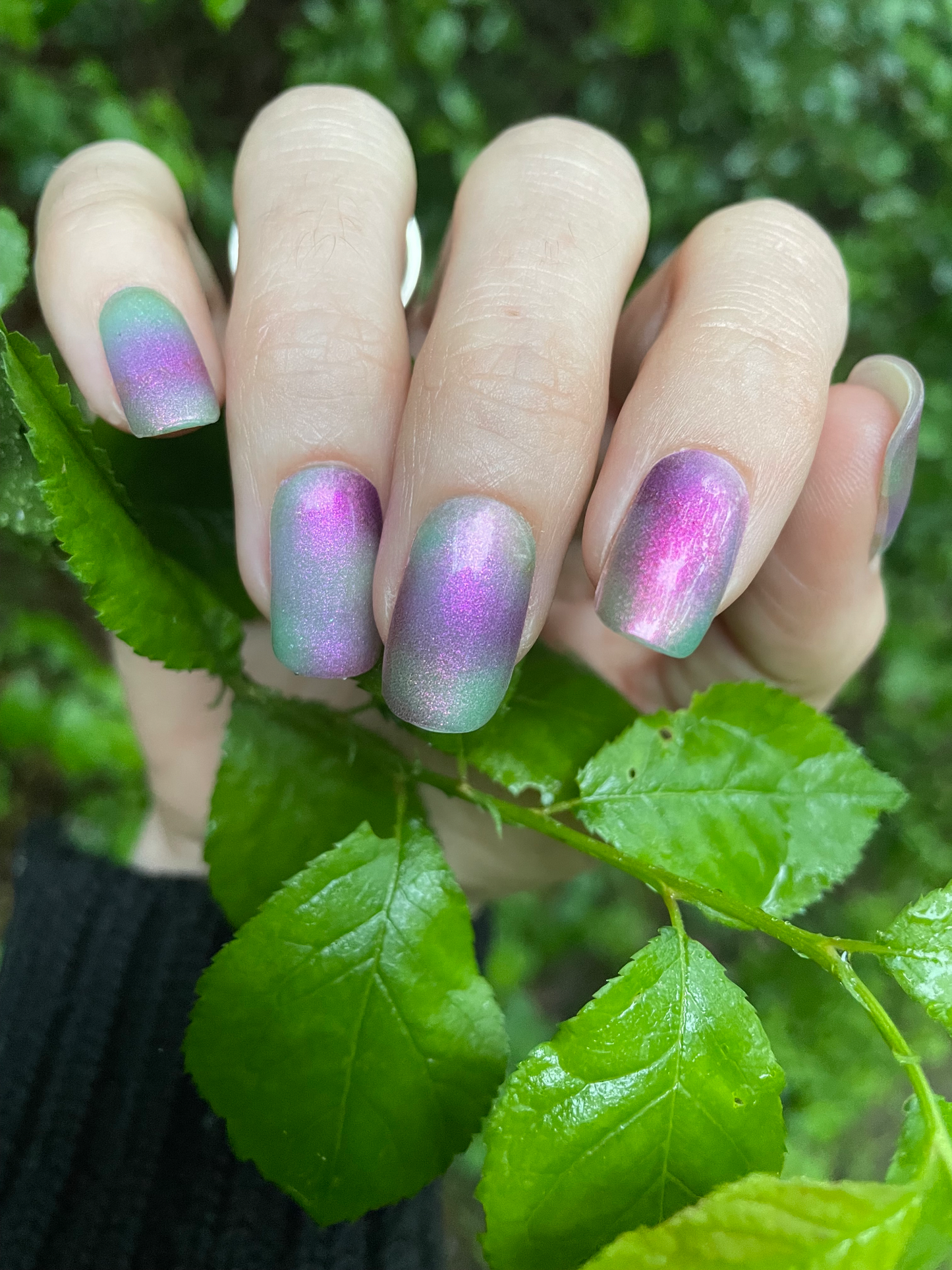 Blurry Meadow 16er-Blush&Cherry - Blush and Cherry - Nagelfolien ohne UV
