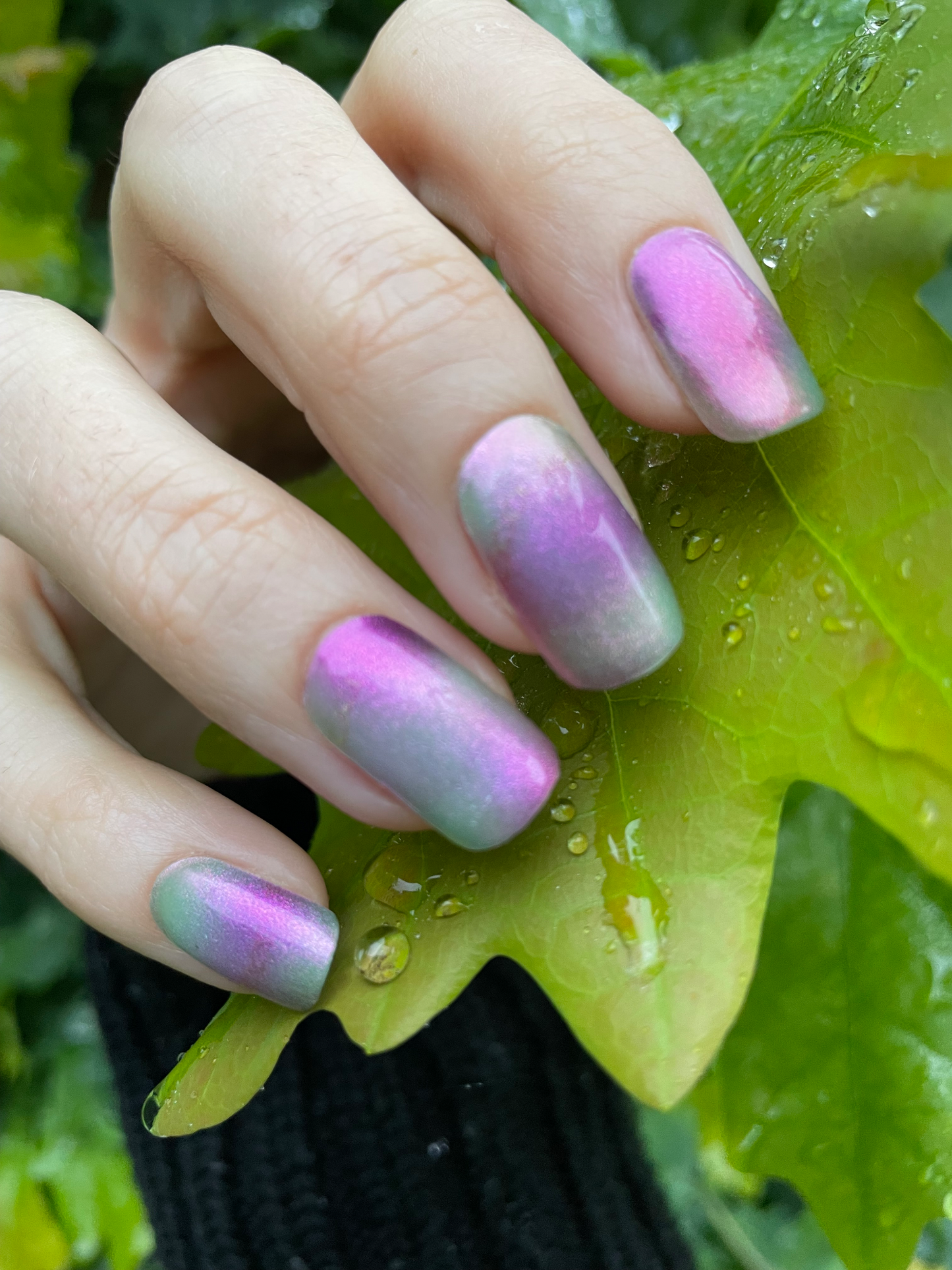 Blurry Meadow 16er-Blush&Cherry - Blush and Cherry - Nagelfolien ohne UV