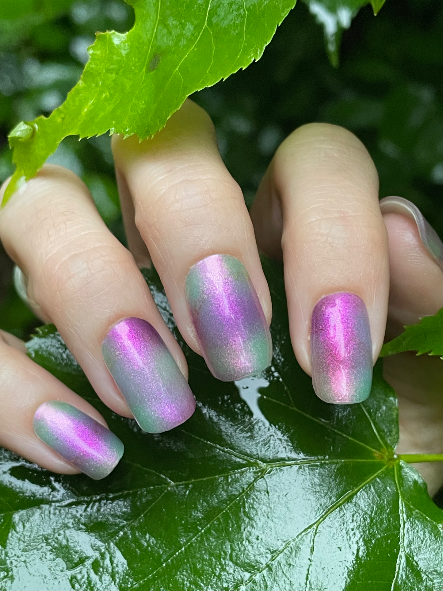 Blurry Meadow 16er-Blush&Cherry - Blush and Cherry - Nagelfolien ohne UV