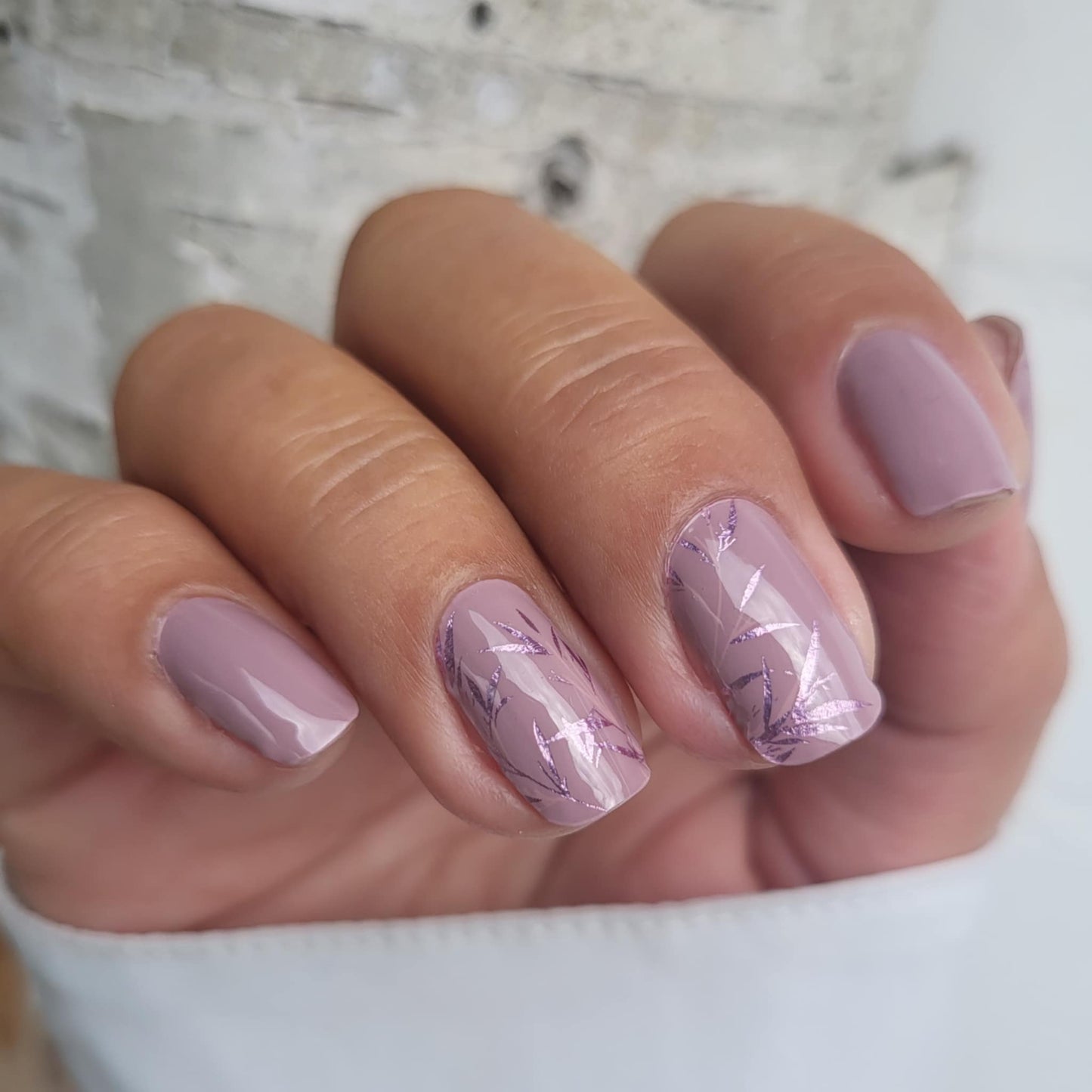 Mauve Whispers 16er