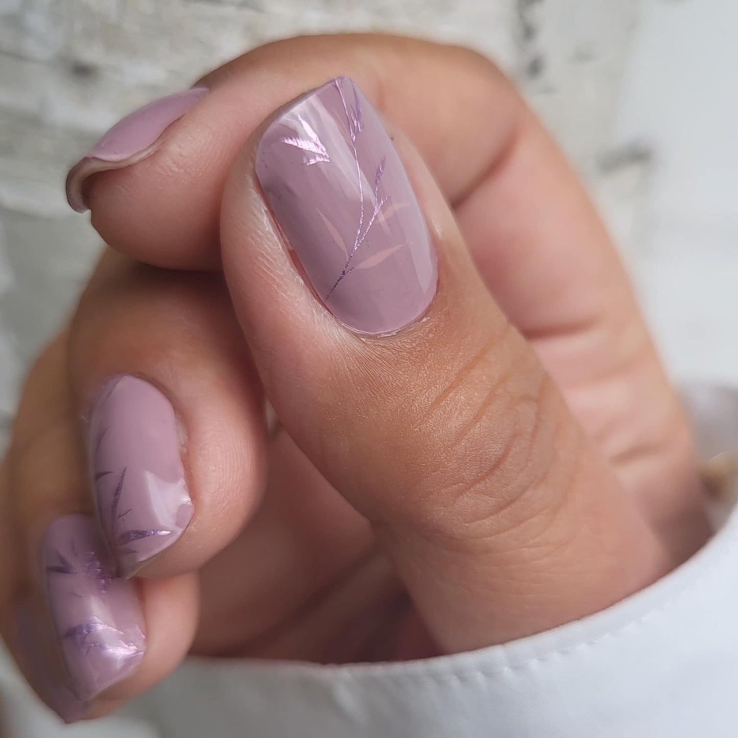 Mauve Whispers 16er