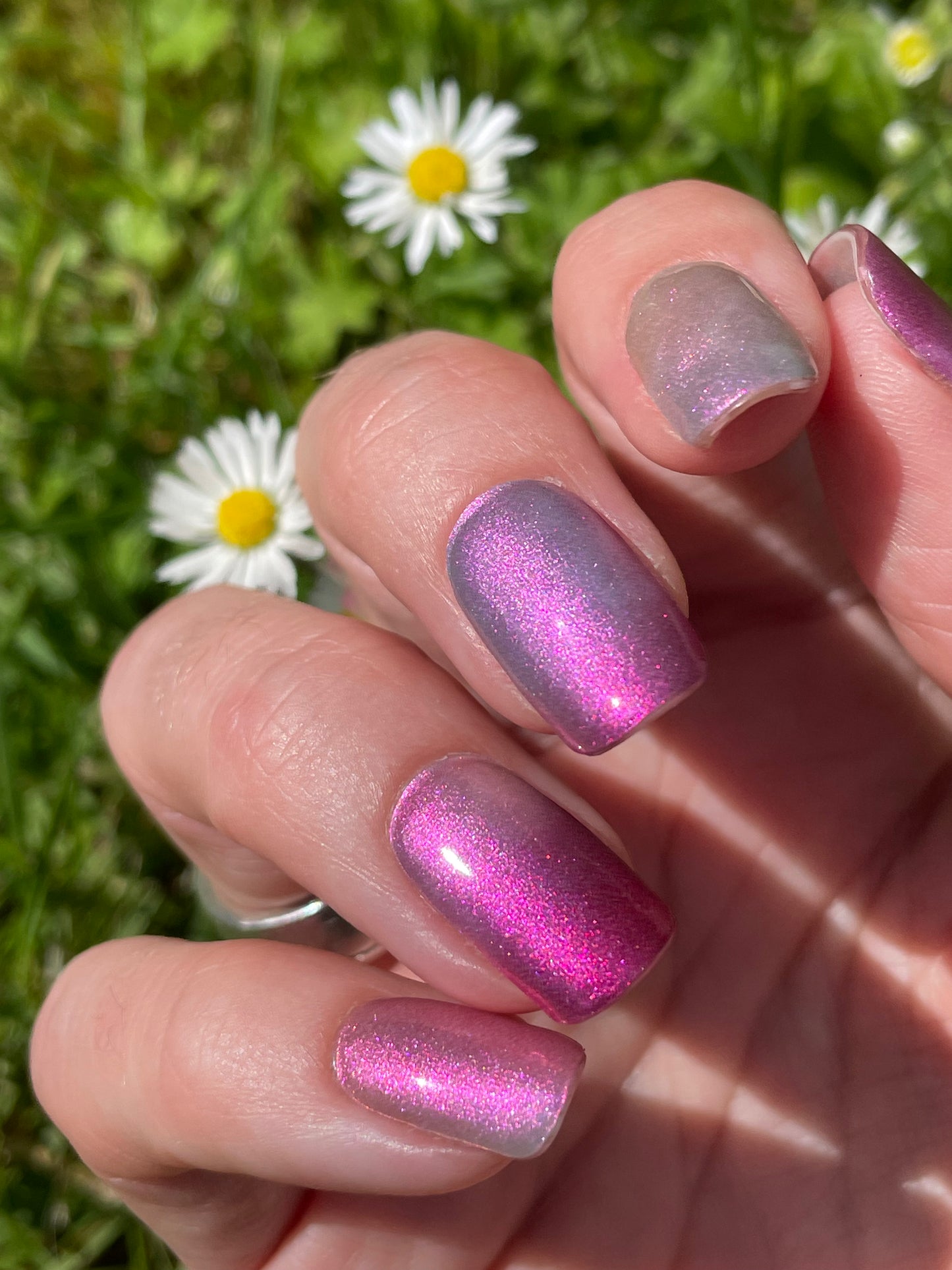 Fairy Wings 16er-Blush&Cherry - Blush and Cherry - Nagelfolien ohne UV