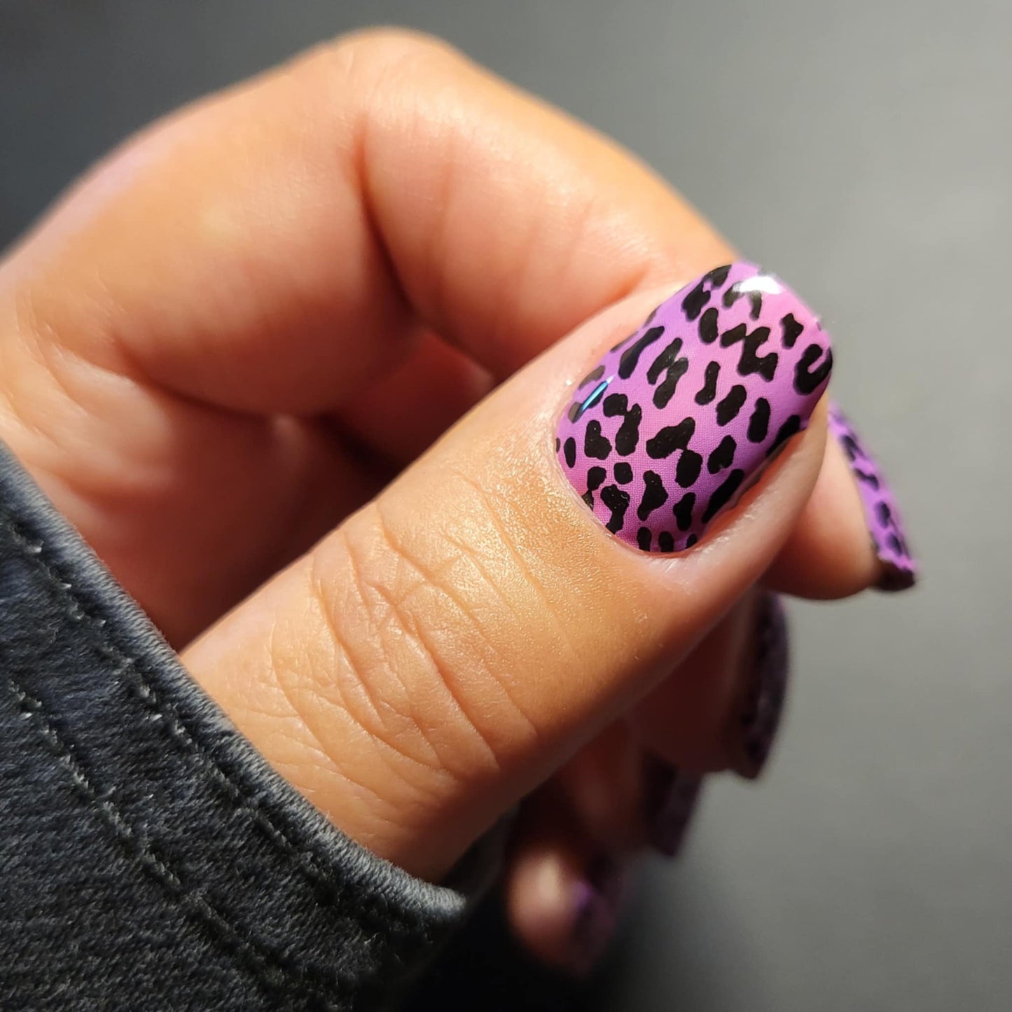 Pink Panther 16er