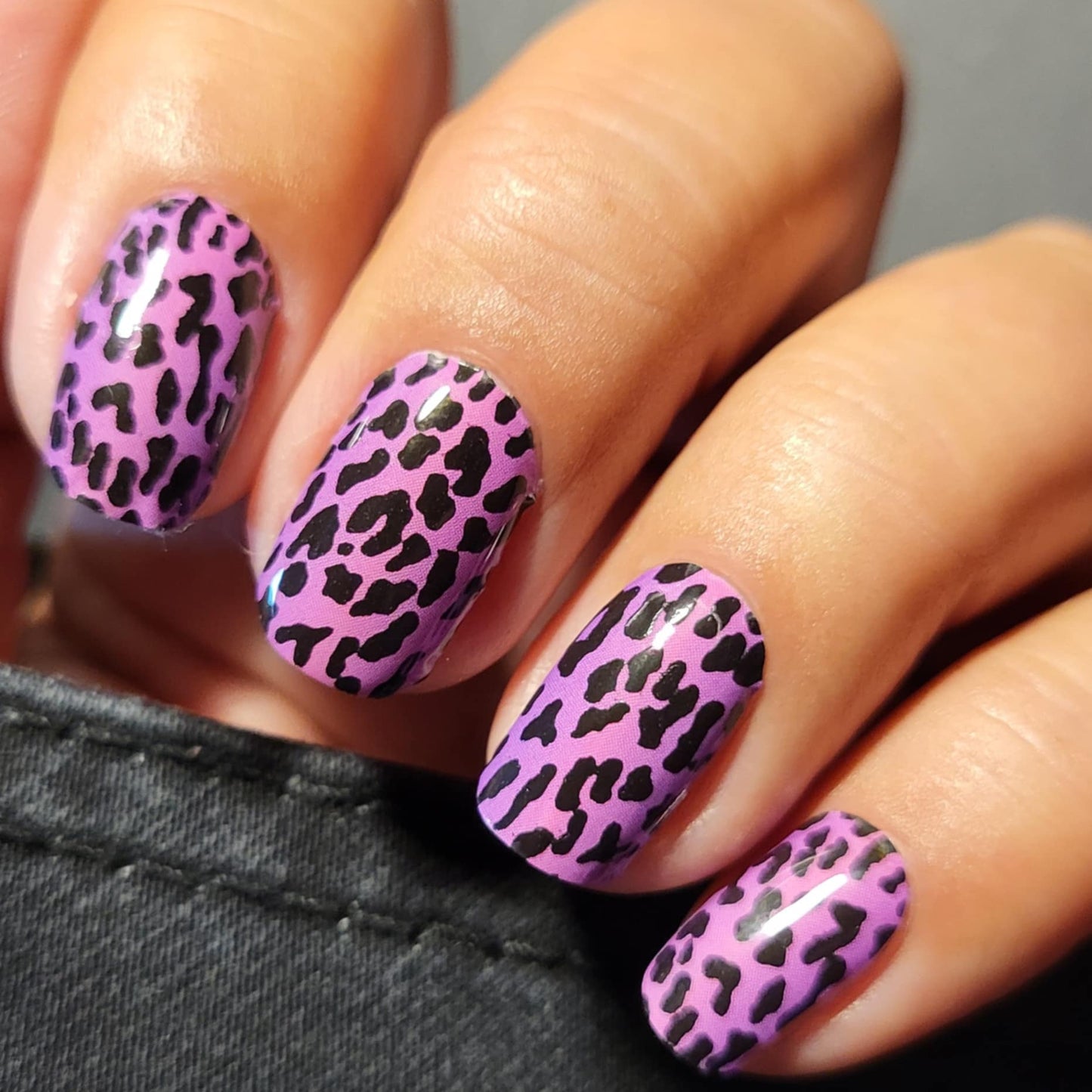Pink Panther 16er