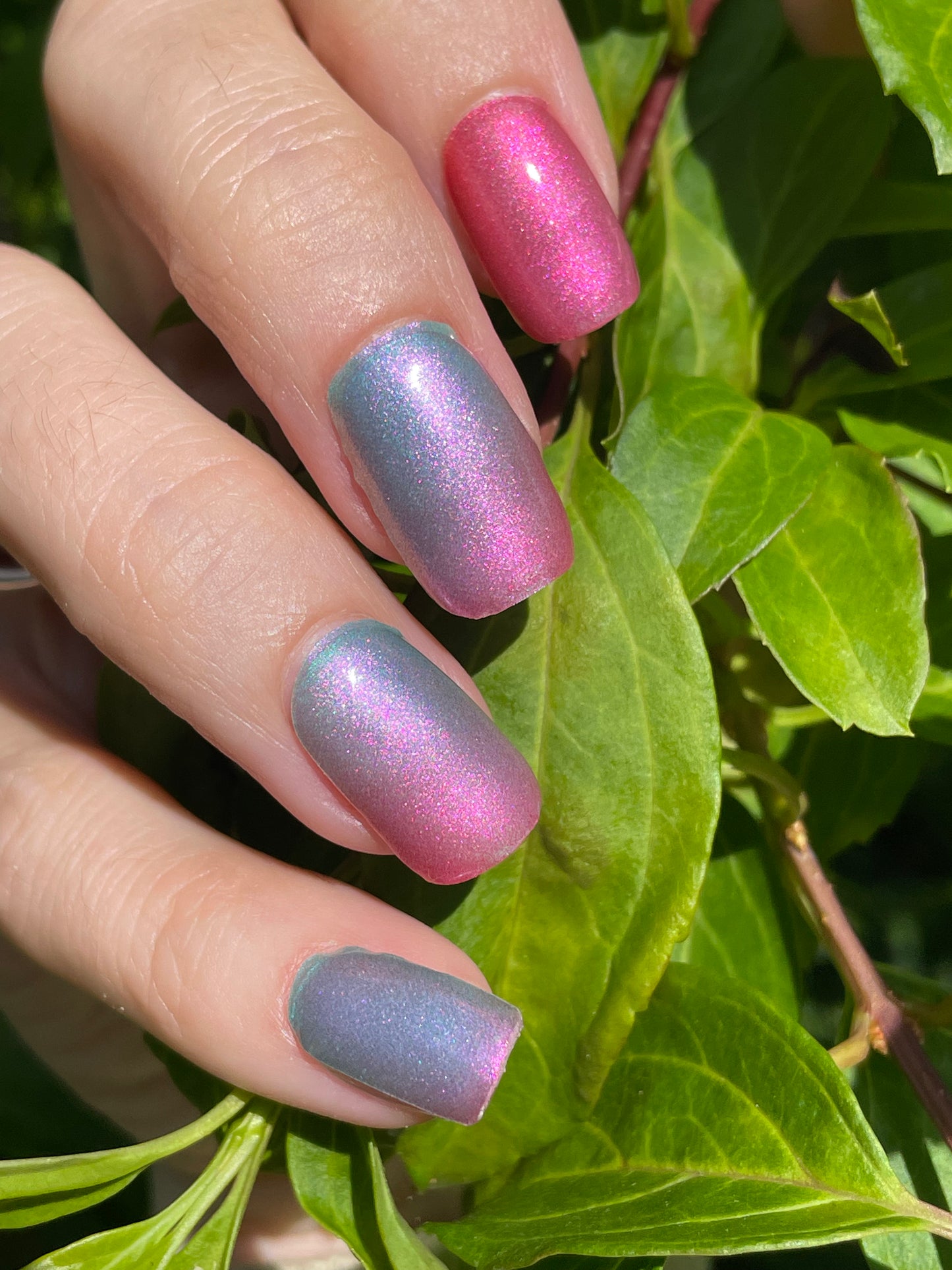 Watermelon 16er-Blush&Cherry - Blush and Cherry - Nagelfolien ohne UV