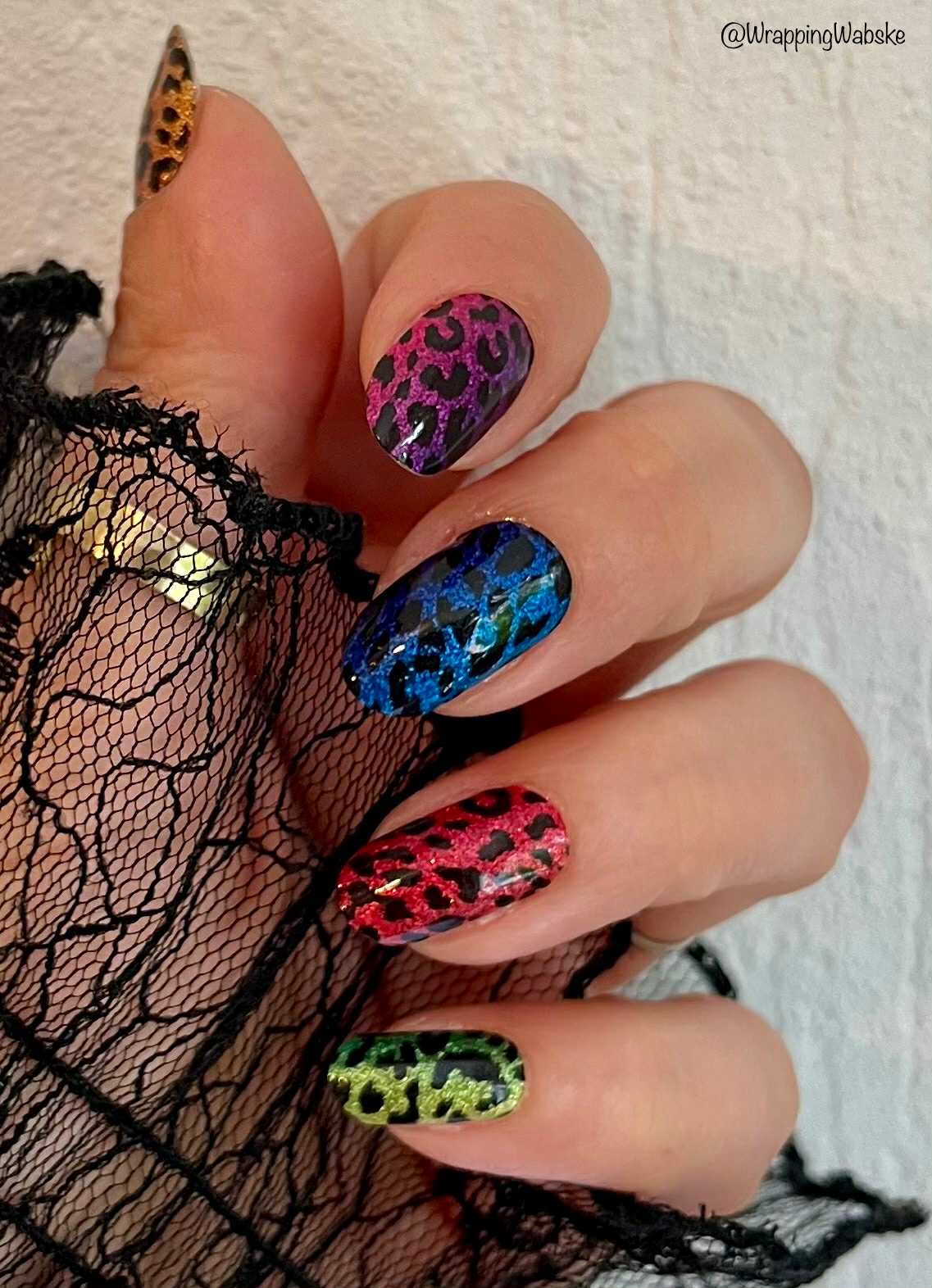 Rainbow Leopard 16er