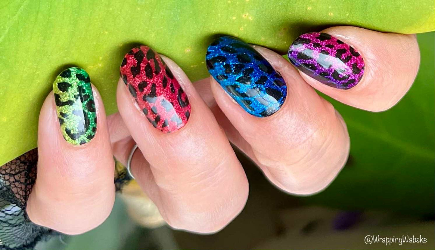 Rainbow Leopard 16er