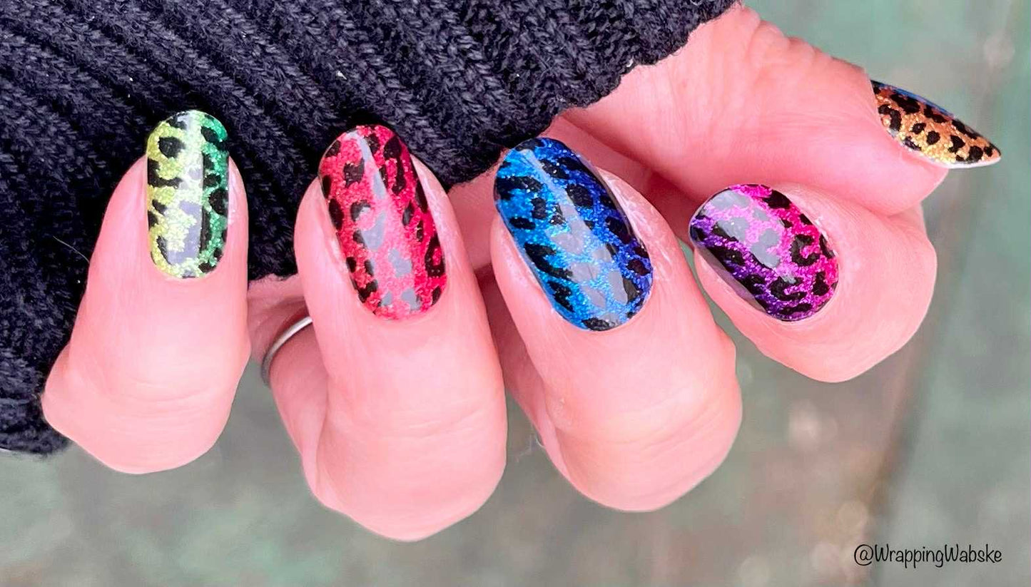 Rainbow Leopard 16er