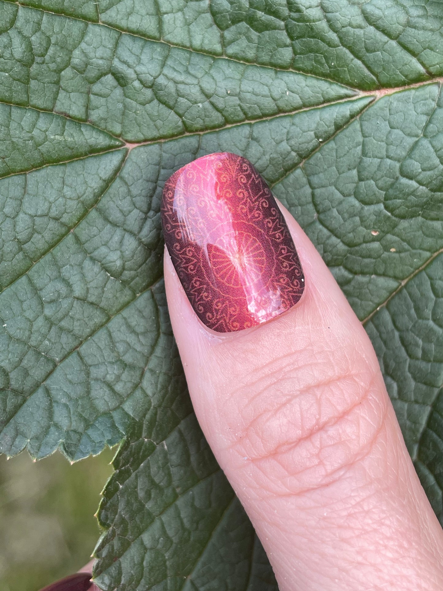 Grapevine Fires 16er-Blush&Cherry-Exklusiv-Blush&Cherry-Blush and Cherry-Nagelfolien-Non UV-Ohne UV
