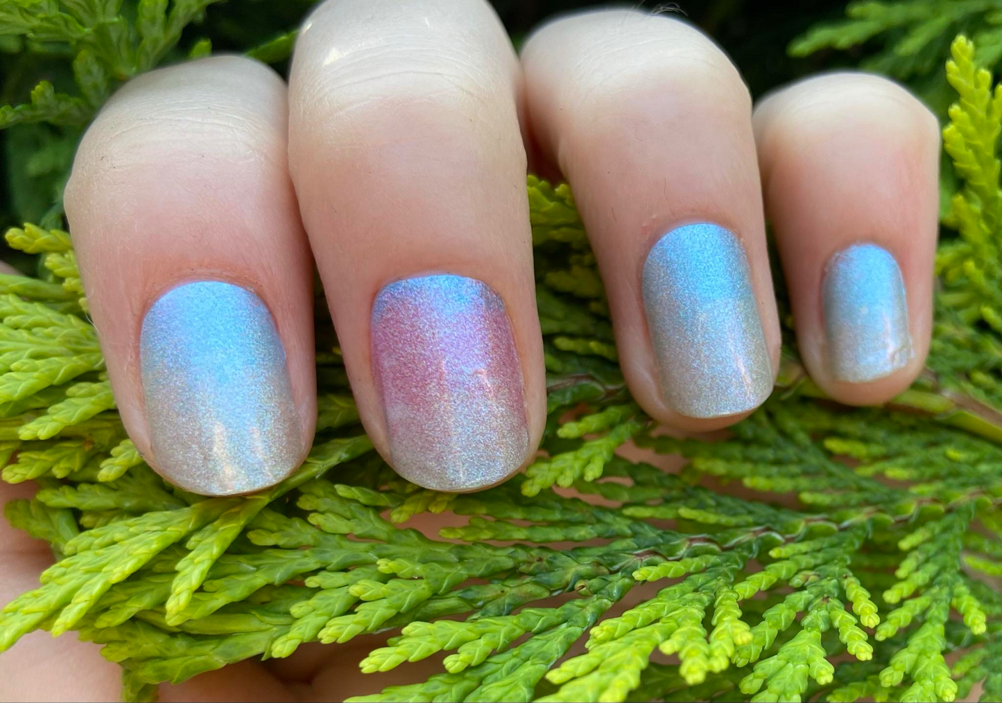 Sun Flares 16er-Blush&Cherry - Blush and Cherry - Nagelfolien ohne UV