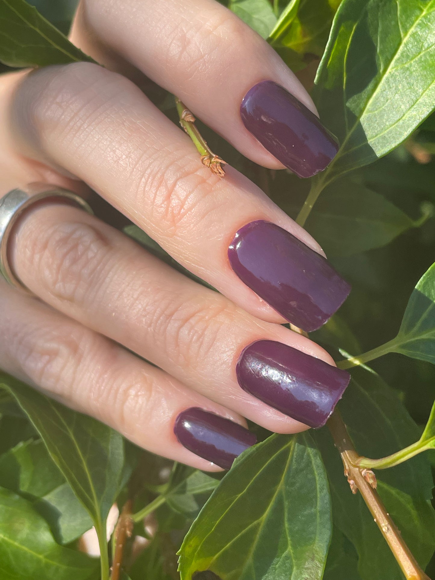 Uni Plum 16er-Blush&Cherry - Blush and Cherry - Nagelfolien ohne UV