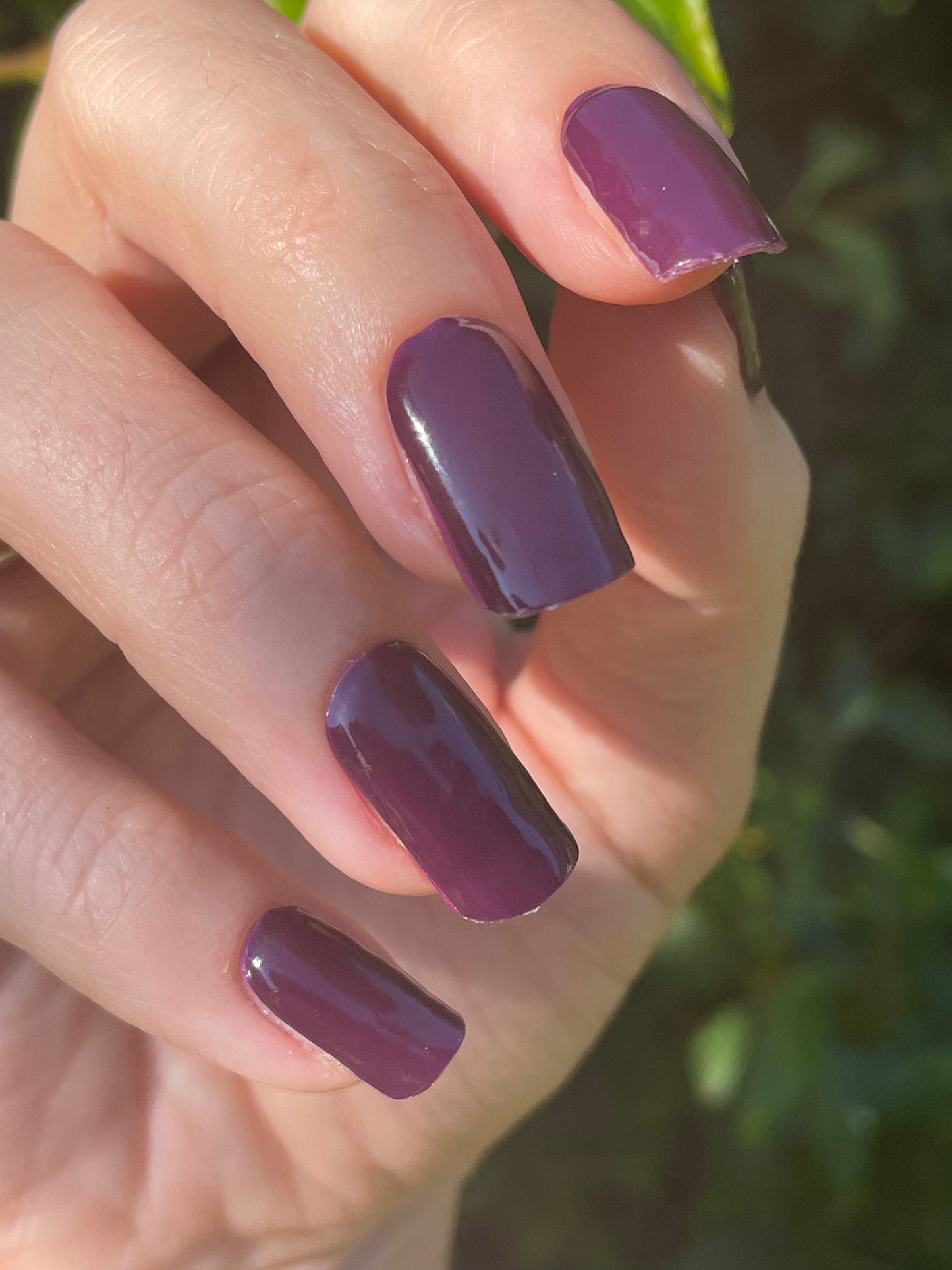 Uni Plum 16er-Blush&Cherry - Blush and Cherry - Nagelfolien ohne UV