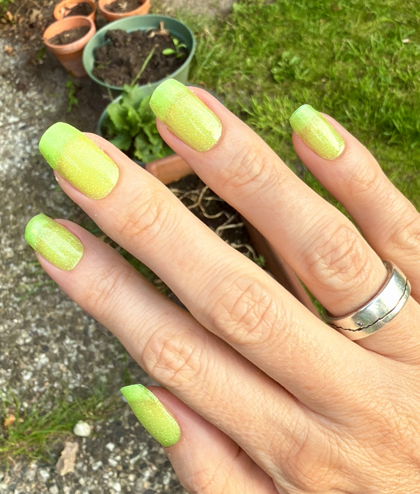 Lime 16er