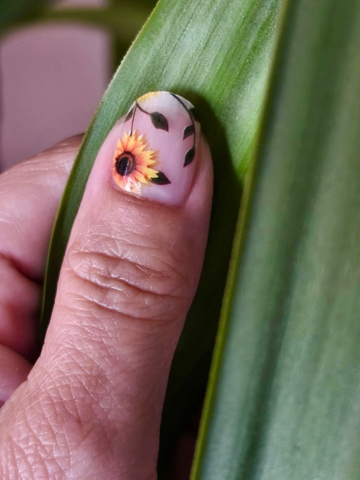 Sunflower Power 16er Overlay