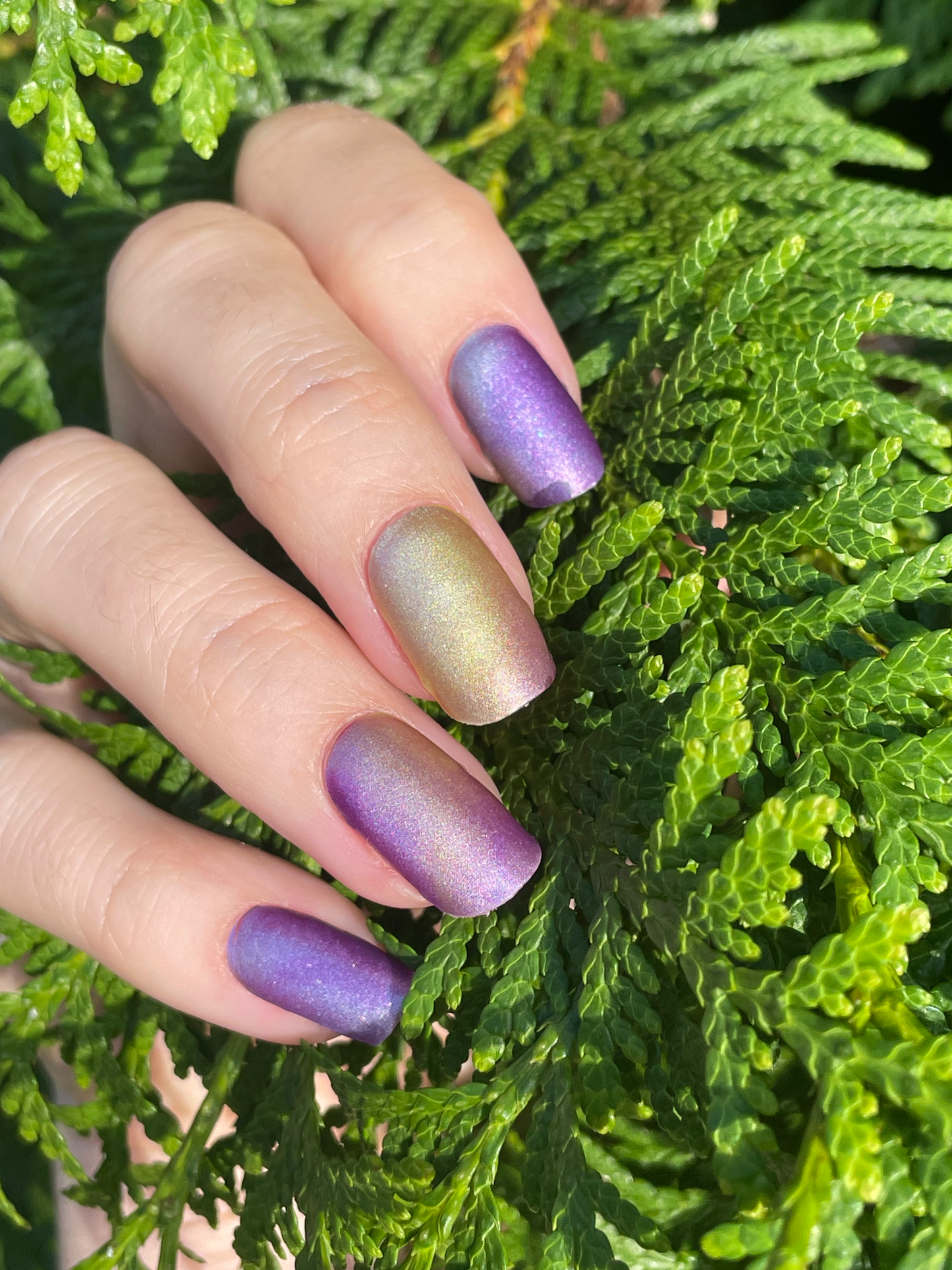 Soulmate 22er-Blush&Cherry - Blush and Cherry - Nagelfolien ohne UV