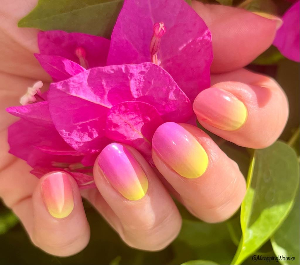 Follow The Sun 16er-Blush&Cherry - Blush and Cherry - Nagelfolien ohne UV
