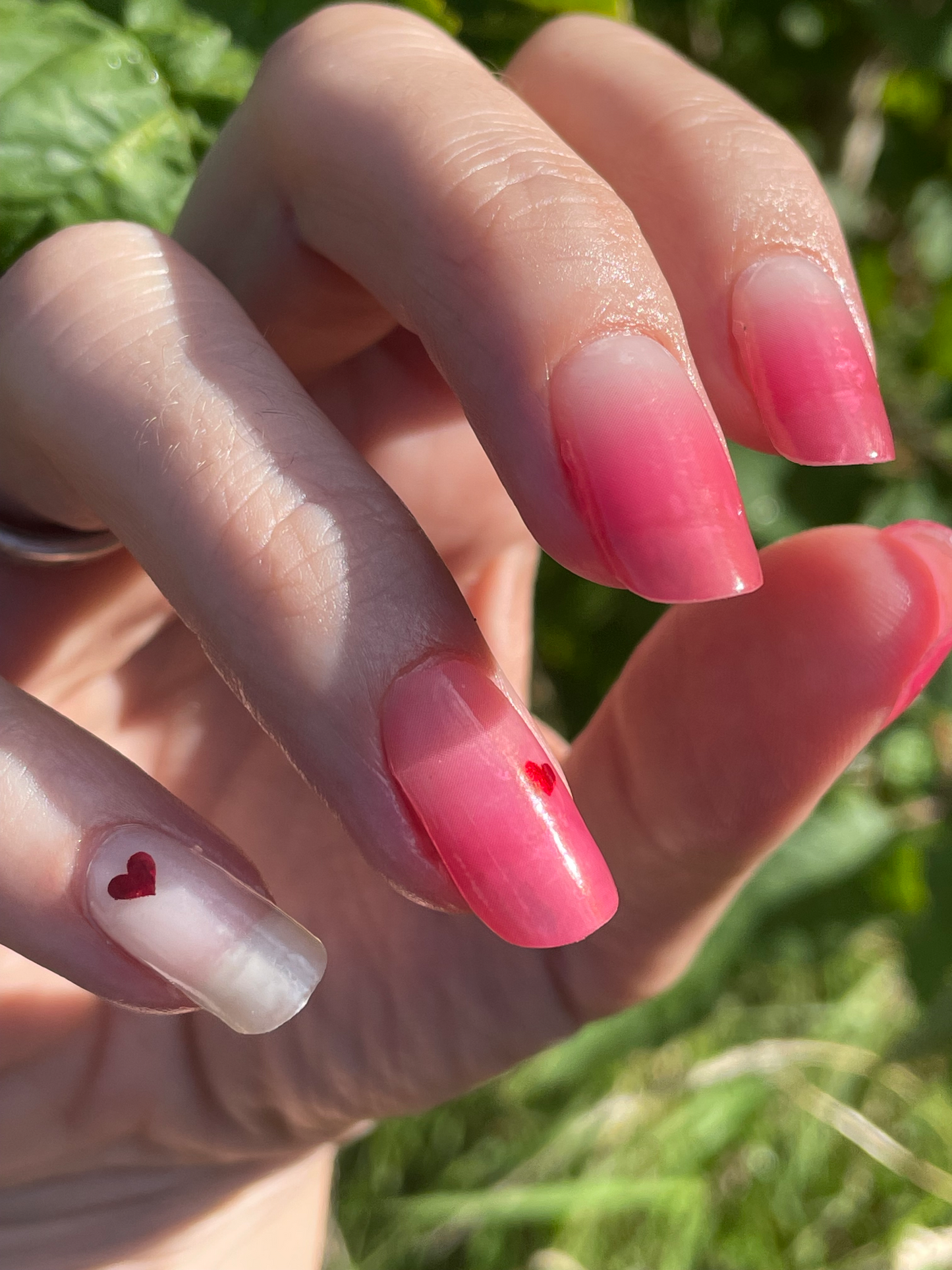 PS: I Love You 16er-Blush&Cherry - Blush and Cherry - Nagelfolien ohne UV