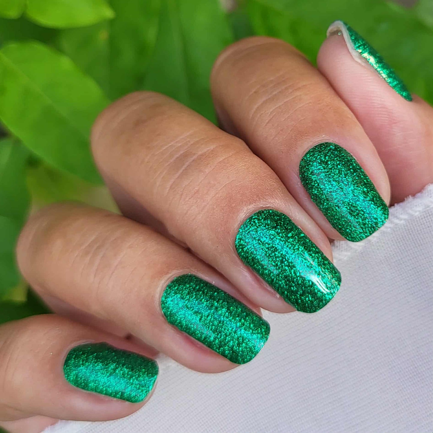 Shamrock 16er