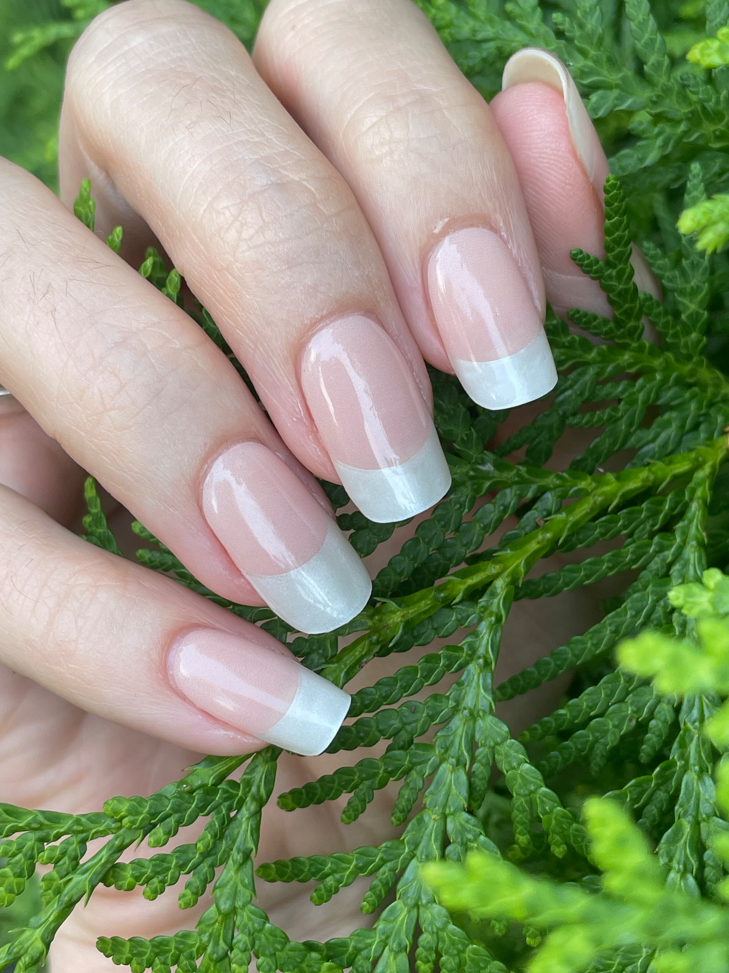 Hayhae-UV Nagelfolien-Premium- Nail wrap - Deutschland - uv gel nagelfolien - Hey, Dinner At 6?-UV Nail Wraps-Blush&Cherry - Blush and Cherry