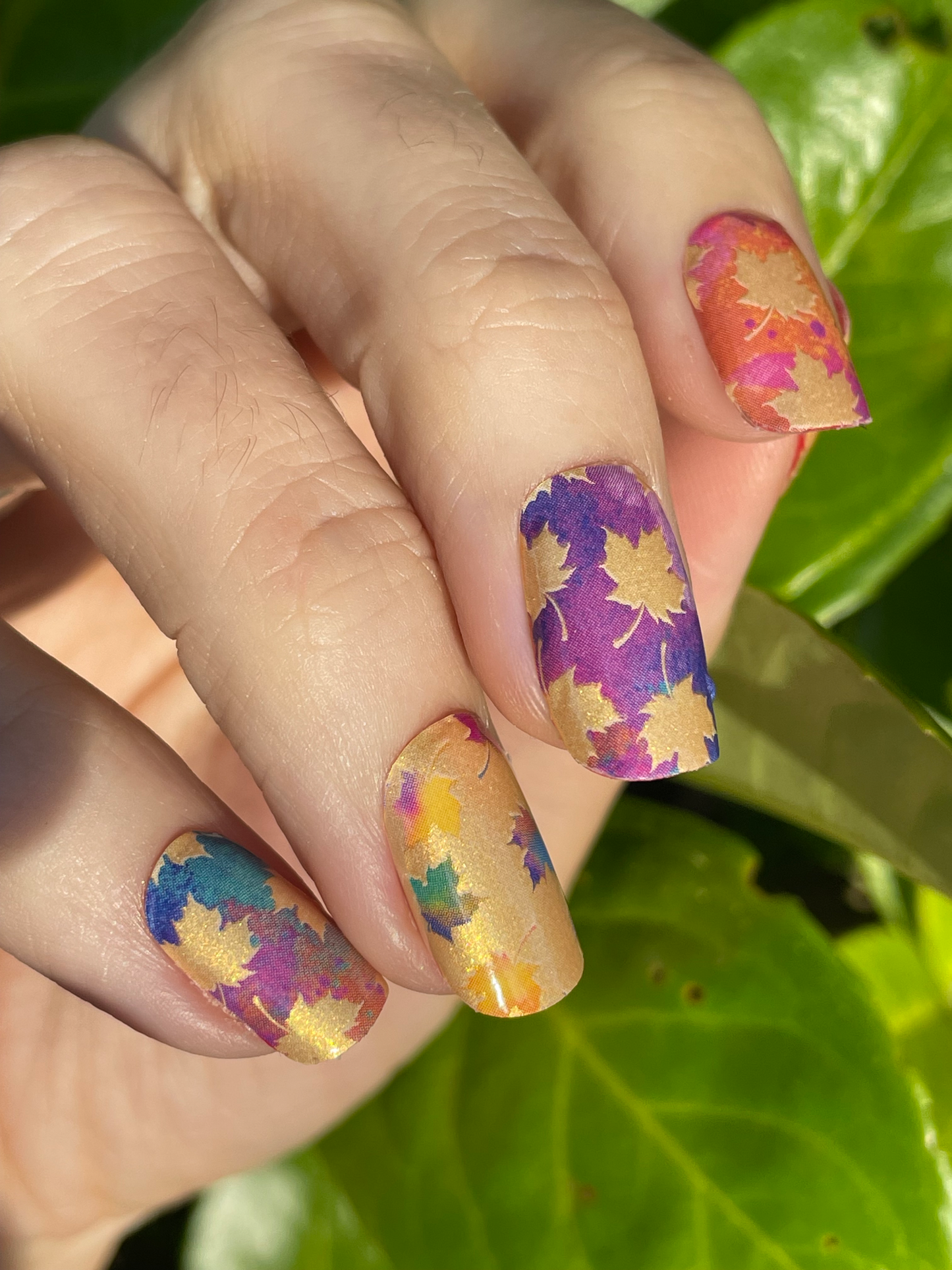 Indian Summer 16er-Blush&Cherry - Blush and Cherry - Nagelfolien ohne UV