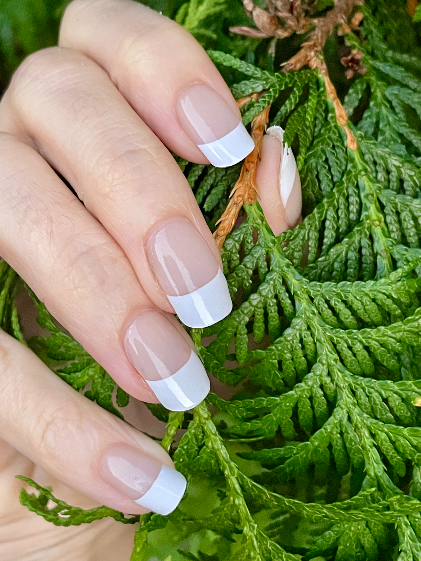 Classic French 16er-Blush&Cherry - Blush and Cherry - Nagelfolien ohne UV